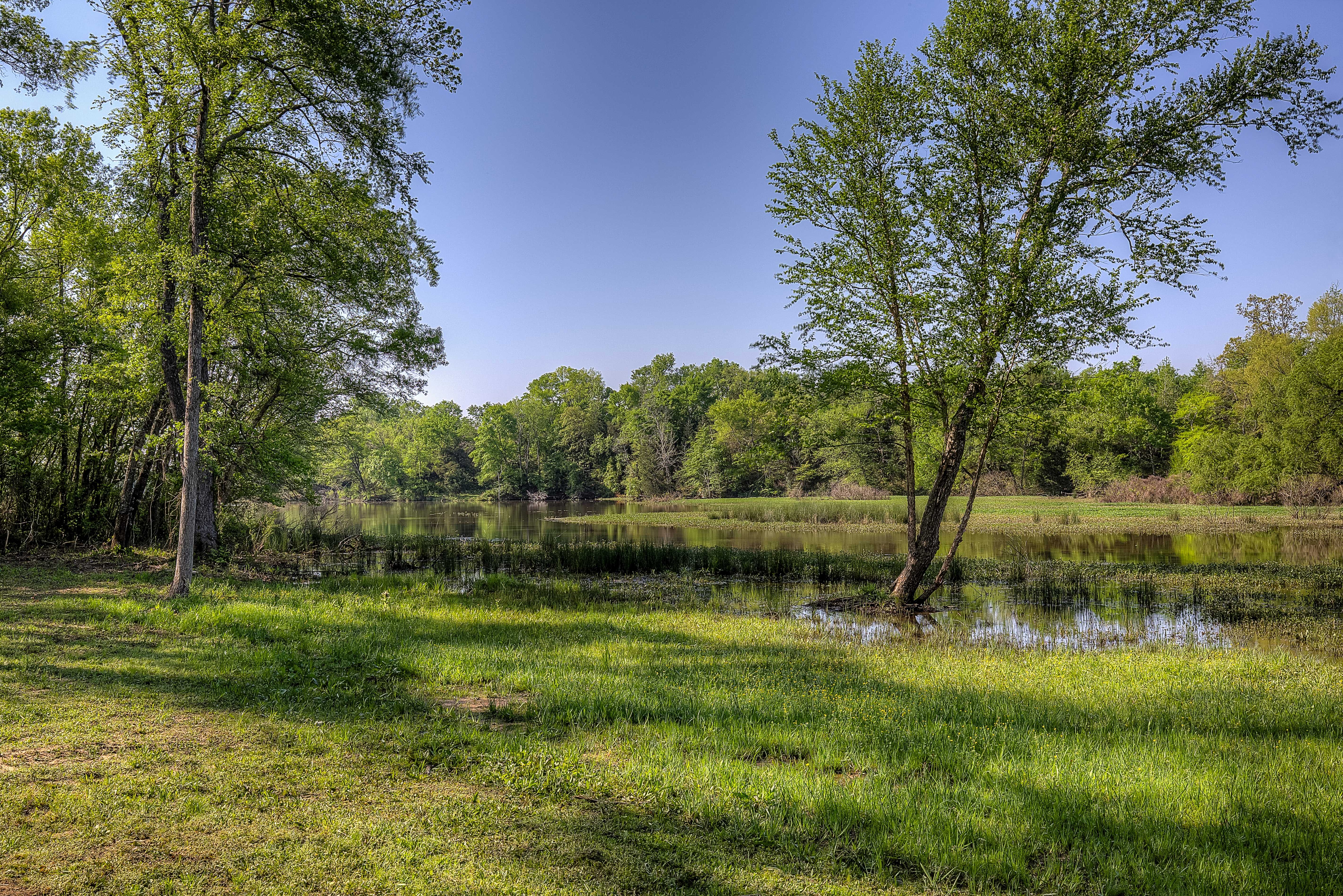 Quitman, Texas, 75783, United States, 3 Bedrooms Bedrooms, ,3 BathroomsBathrooms,Residential,For Sale,1693379