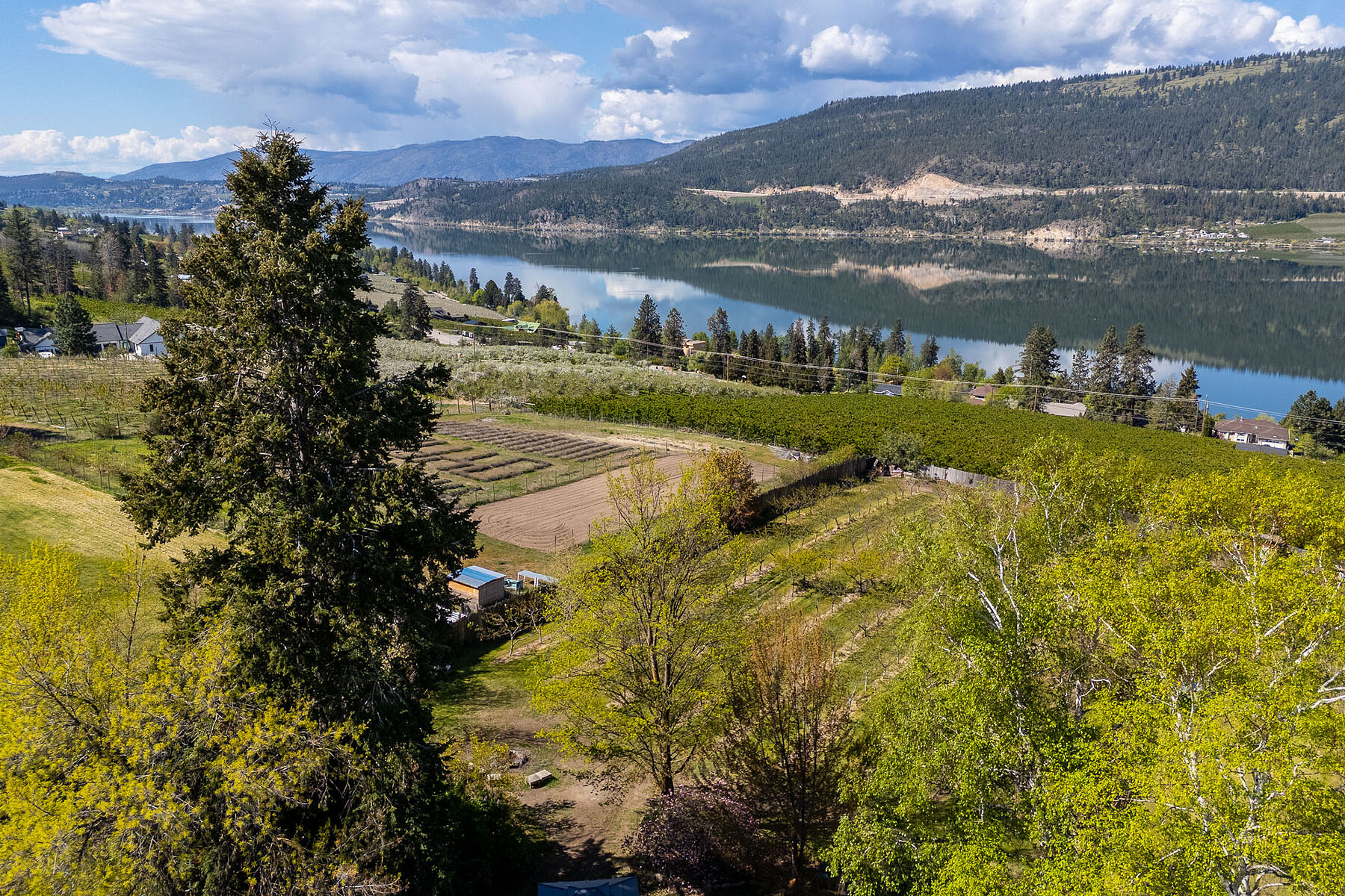  2.63 Acres in Oyama - 物件實景