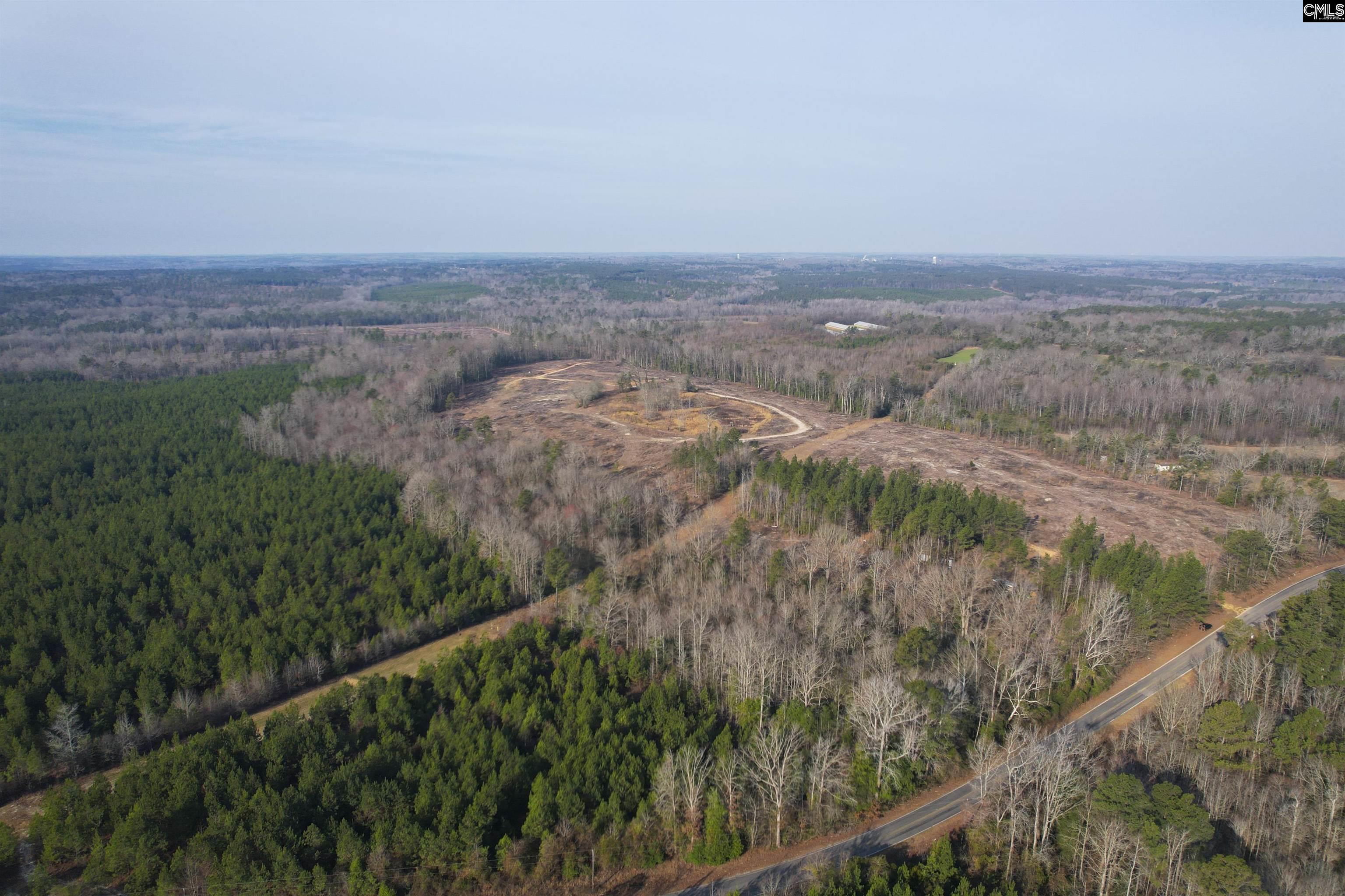 703 Neds Creek Road, Kershaw, South Carolina, 29067, United States, ,Land,For Sale,703 Neds Creek Road,1669372