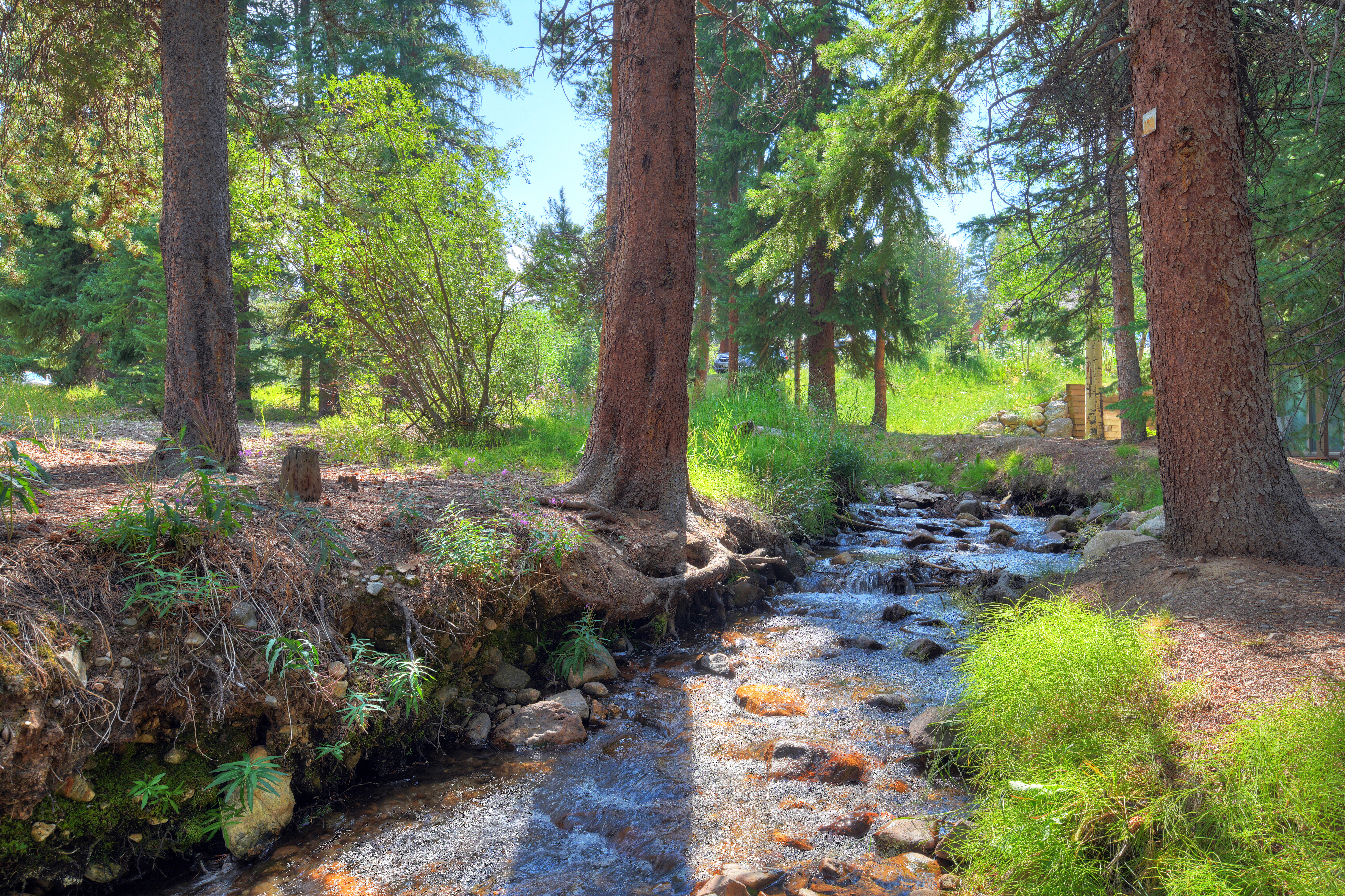  120 Sawmill Road, Breckenridge, CO 80424 - 物件實景