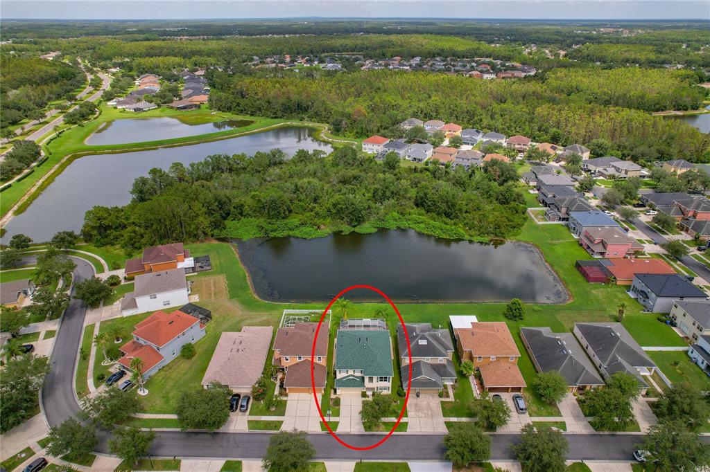 Tampa, Florida, 33647, United States, 4 Bedrooms Bedrooms, ,3 BathroomsBathrooms,Residential,For Sale,1906632