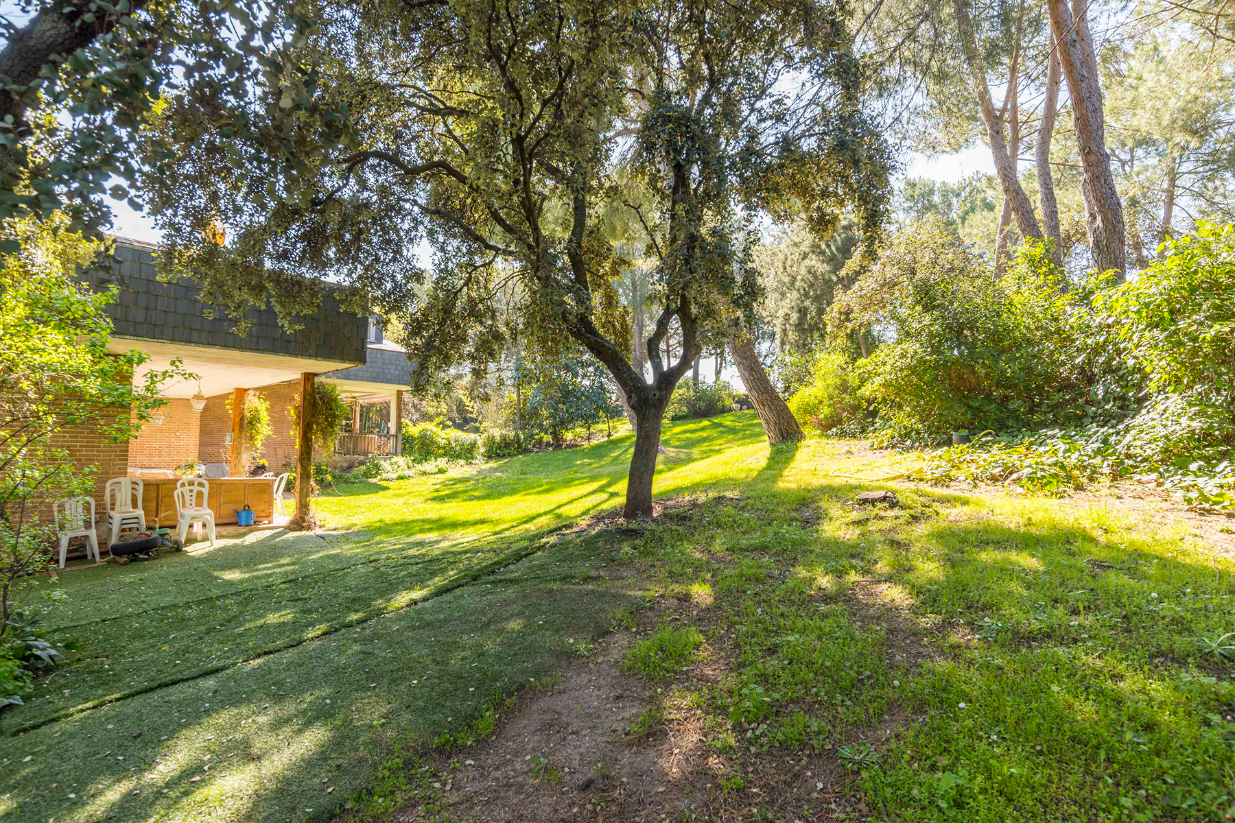  Wonderful hectare plot in La Moraleja - 物件實景