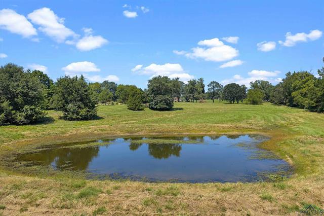 Henderson, Texas, 75652, United States, 3 Bedrooms Bedrooms, ,2 BathroomsBathrooms,Residential,For Sale,1958802