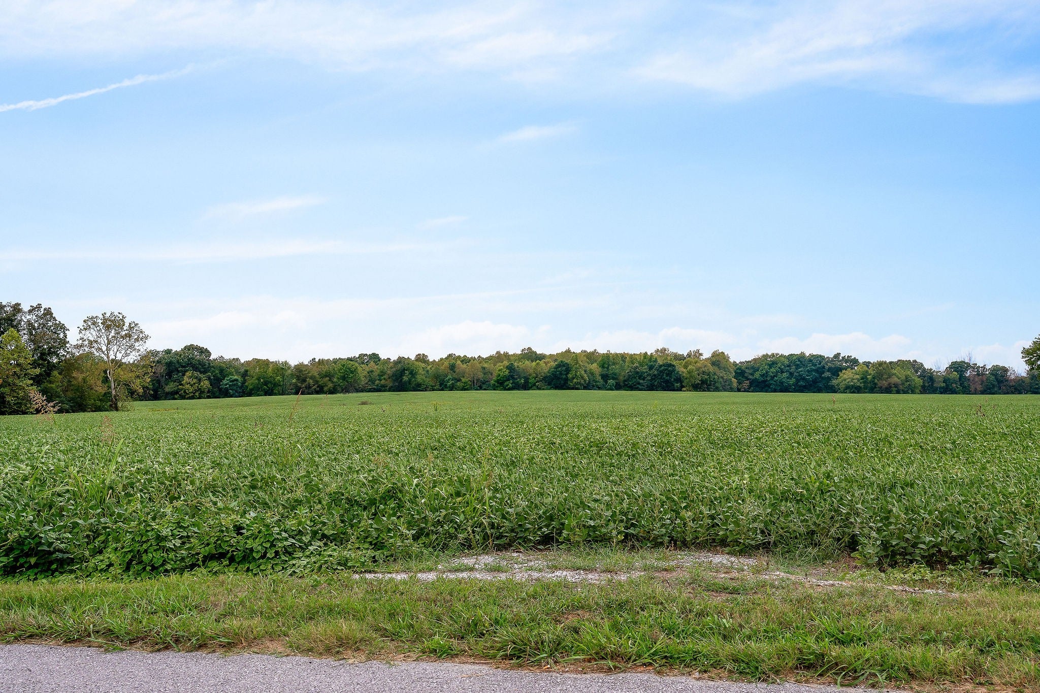 Smithville, Tennessee, 37166, United States, ,Residential,For Sale,2006609