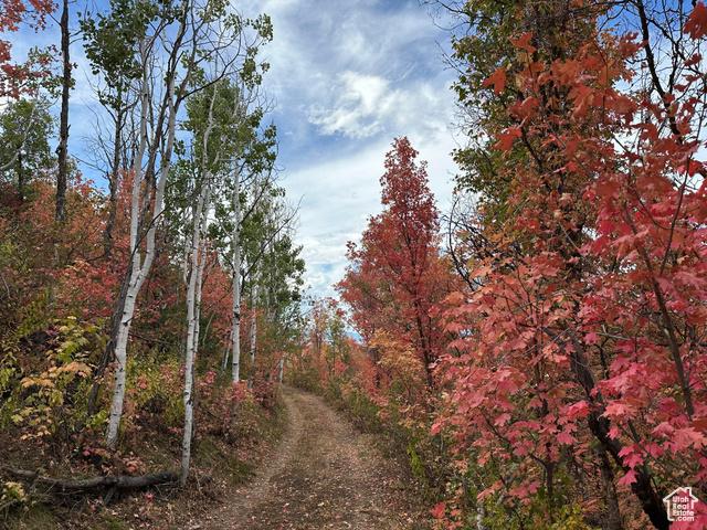 Kamas, Utah, 84036, United States, ,Residential,For Sale,1976580