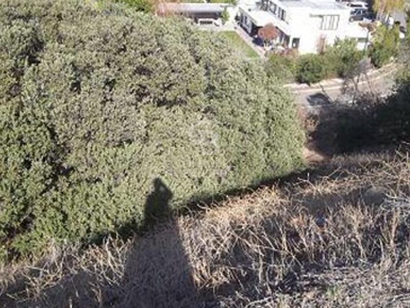 Lo Barnechea, Chile, ,Land,For Sale,1902149