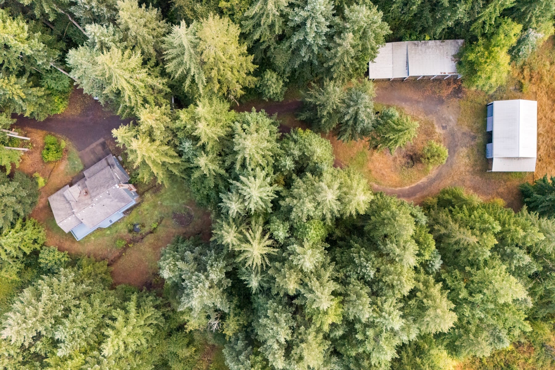  38015 SE FALL CREEK RD Estacada, OR 97023 - 物件實景