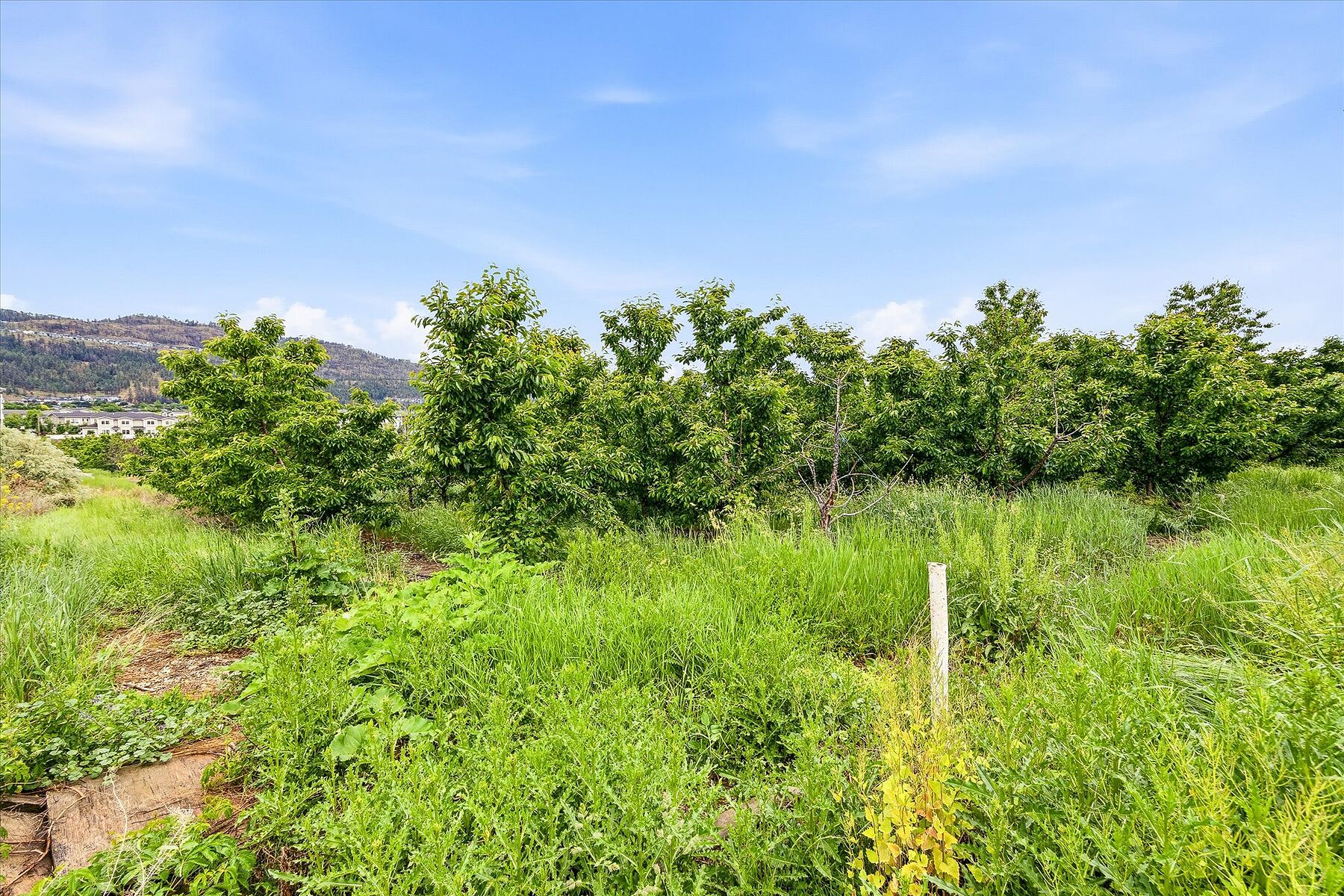  Glenmore Farm Acreage - 物件實景