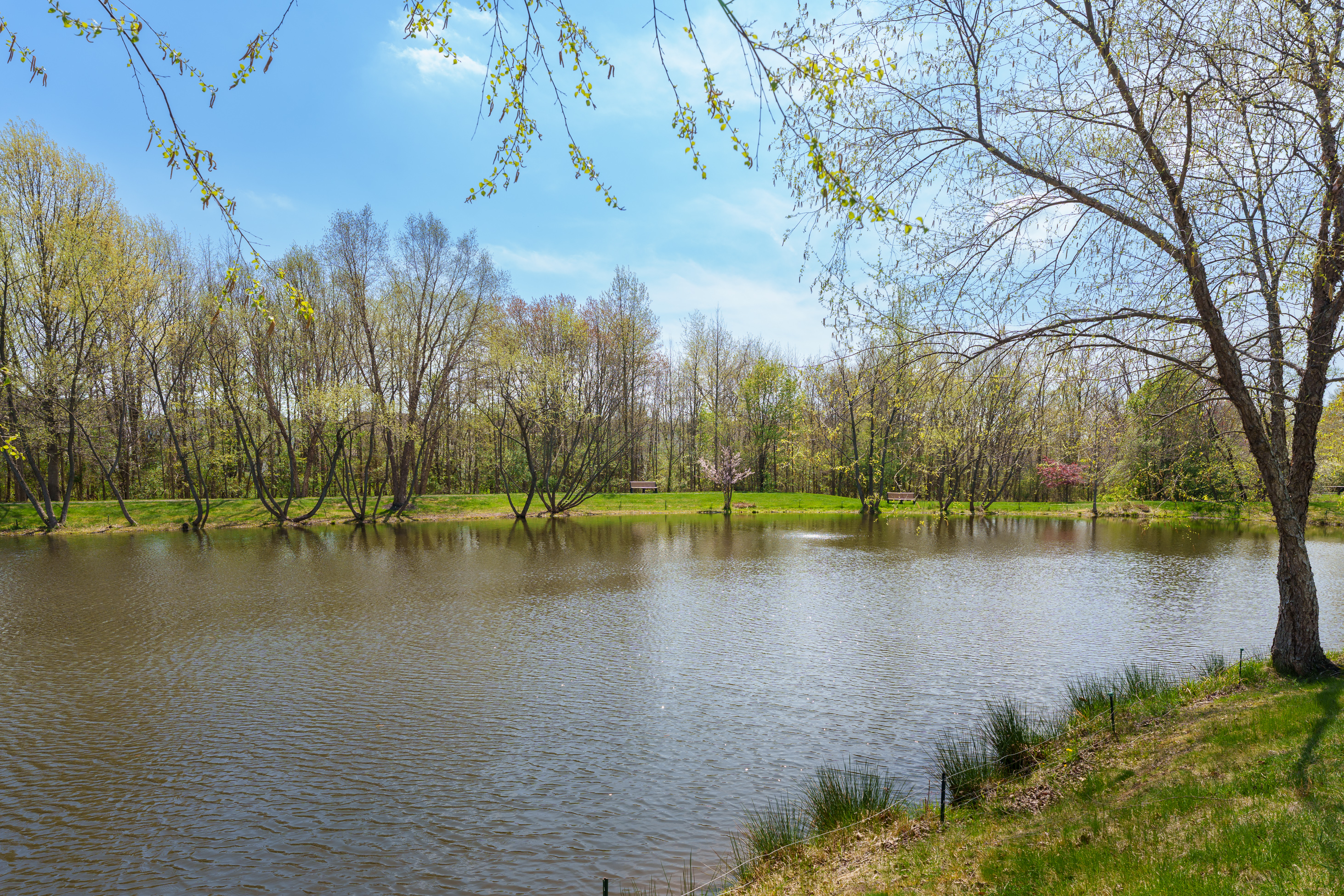  Classic Details, Open Design, and Thoughtful Finishes Throughout - 物件實景