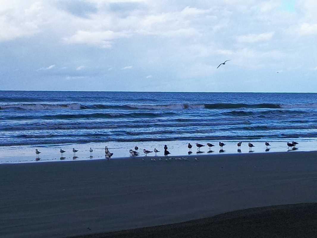 Carretera Federal #15 Mazatlan Nayarit, Tecuala, Nayarit, 63466, Mexico, 1 Bedroom Bedrooms, ,Residential,For Sale,Carretera Federal #15 Mazatlan Nayarit,1235437
