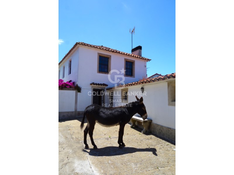 A Coru?a, Oleiros, Dexo-Lorb?, Lorb? A Coru?a, Ole, Oleiros, Galicia, ES, 5 Bedrooms Bedrooms, ,3 BathroomsBathrooms,Residential,For Sale,A Coru?a, Oleiros, Dexo-Lorb?, Lorb? A Coru?a, Ole,1449015