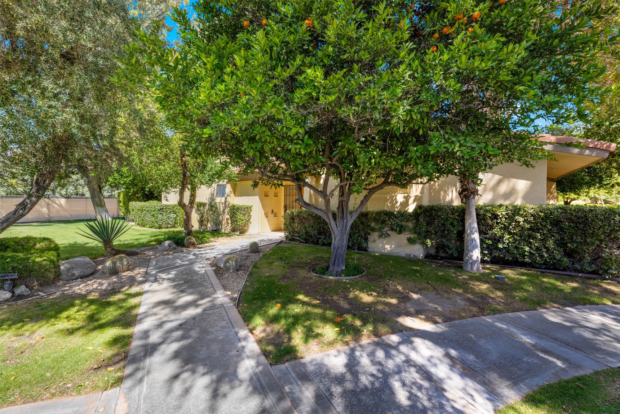  Mid-Century Fixer in Palm Springs Country Club - 物件實景