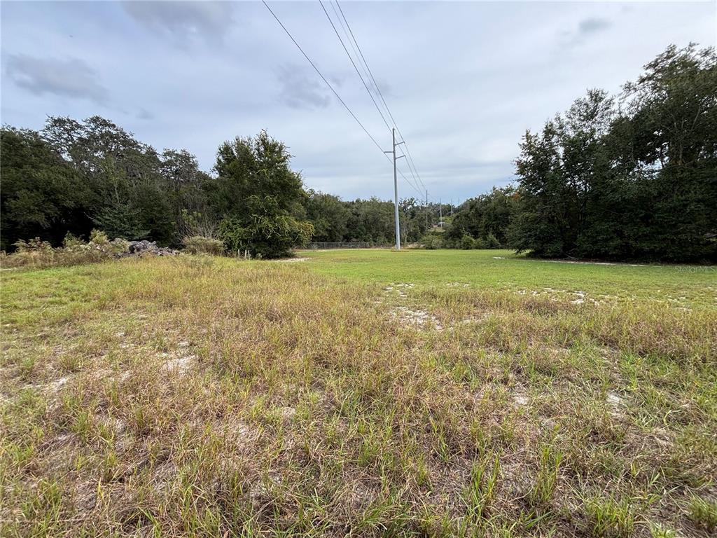 Apopka, Florida, 32712, United States, ,Land,For Sale,1998337