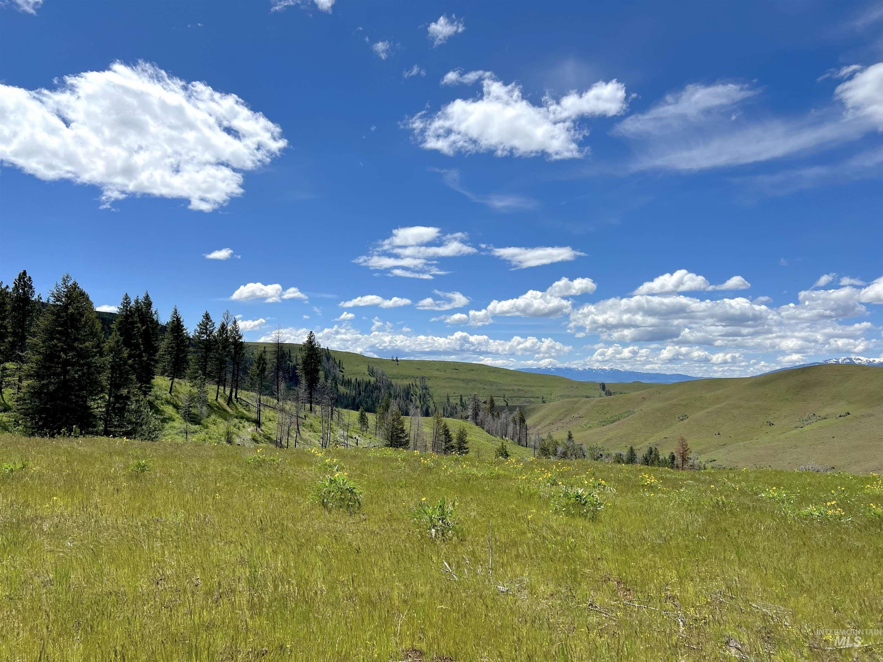 Council, Idaho, 83612, United States, ,Residential,For Sale,1921921