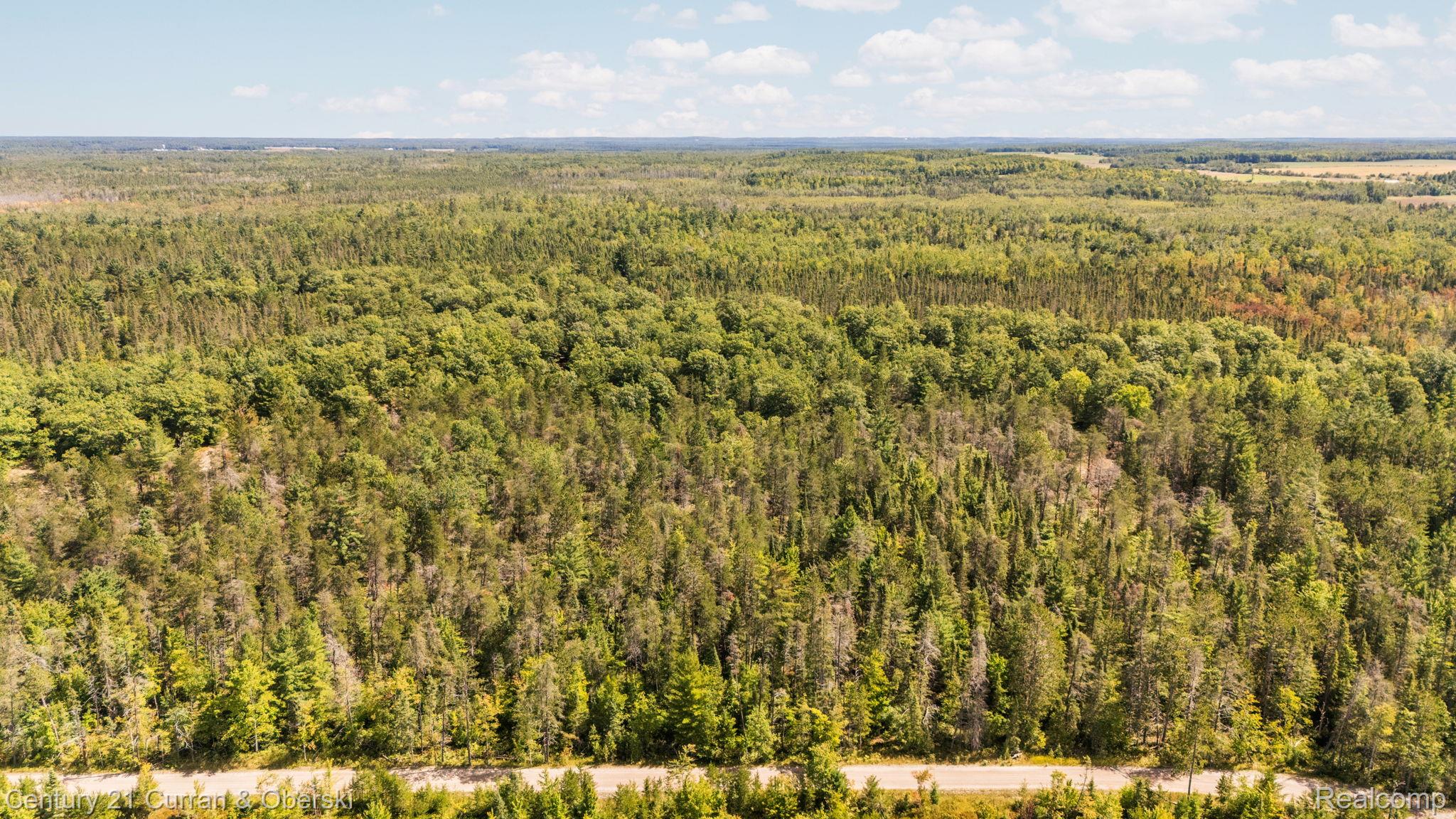 Onaway, Michigan, 49765, United States, 4 Bedrooms Bedrooms, ,2 BathroomsBathrooms,Residential,For Sale,1980098