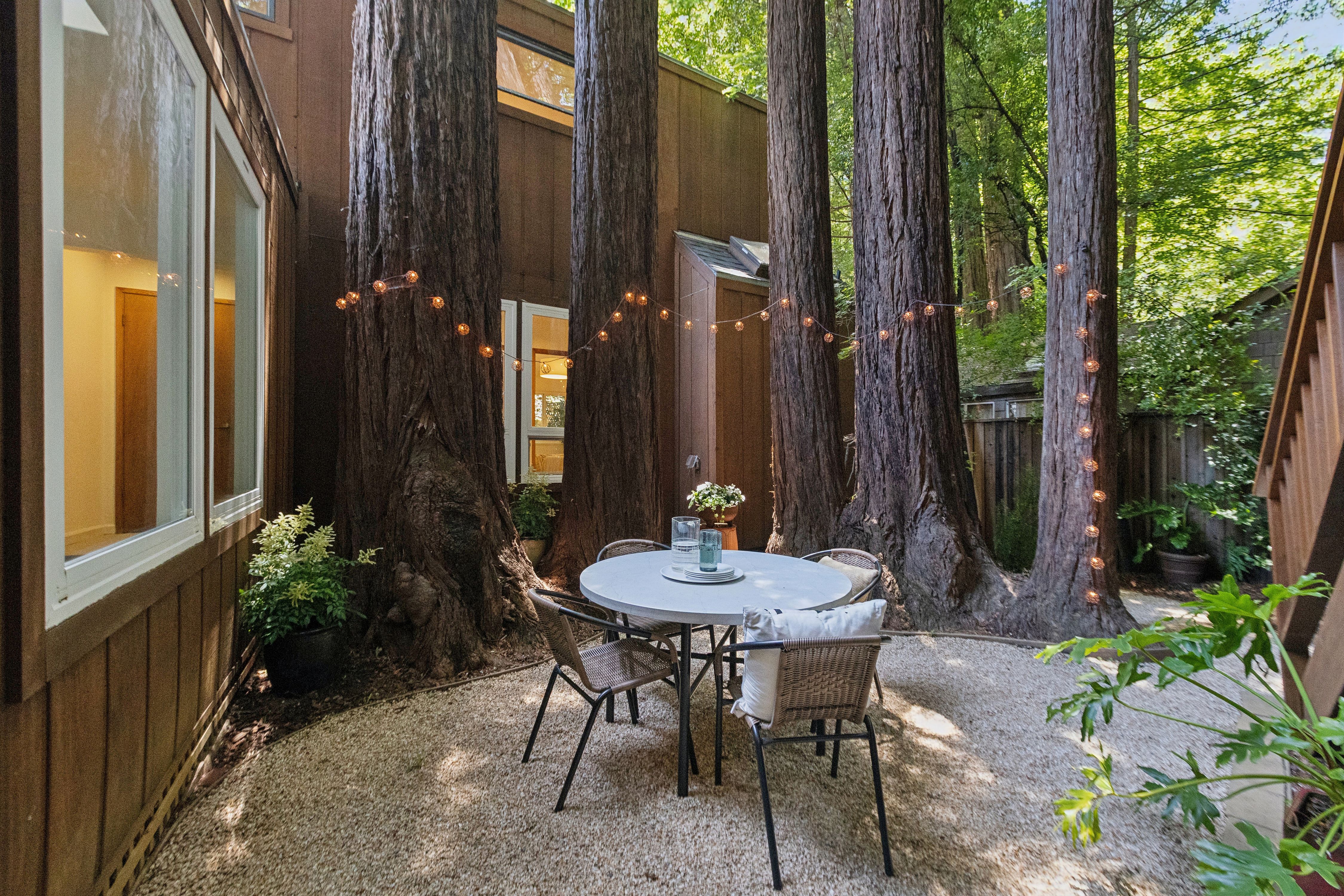  Magical Madrone Canyon Retreat - 物件實景