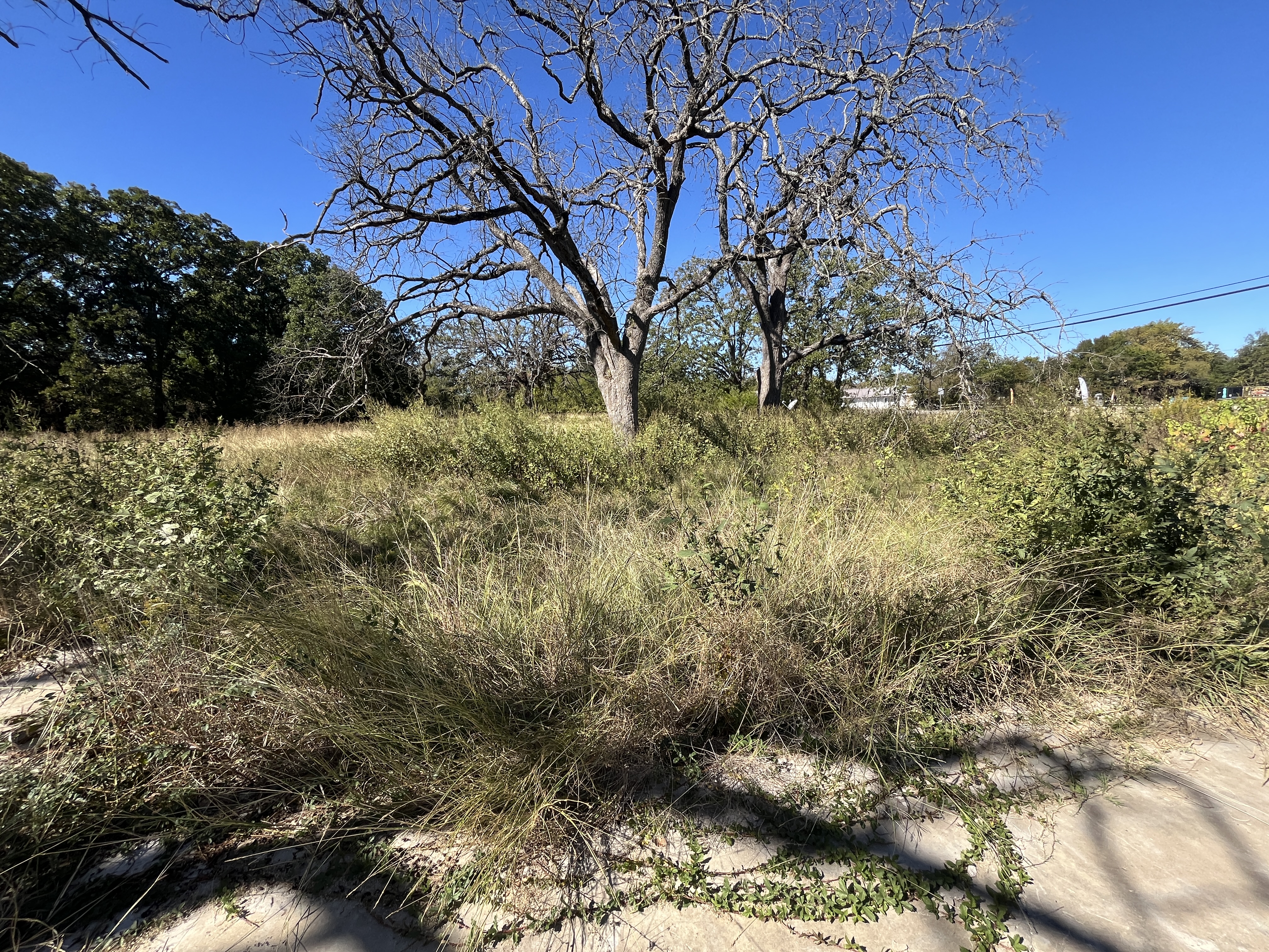 West Tawakoni, Texas, 75474, United States, ,Land,For Sale,1975357