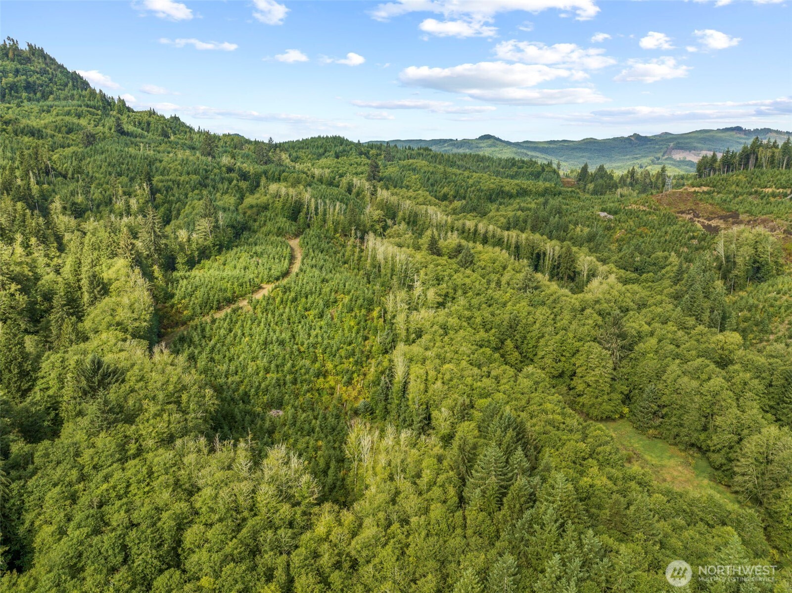 Skamokawa, Washington, 98647, United States, ,Land,For Sale,1903291