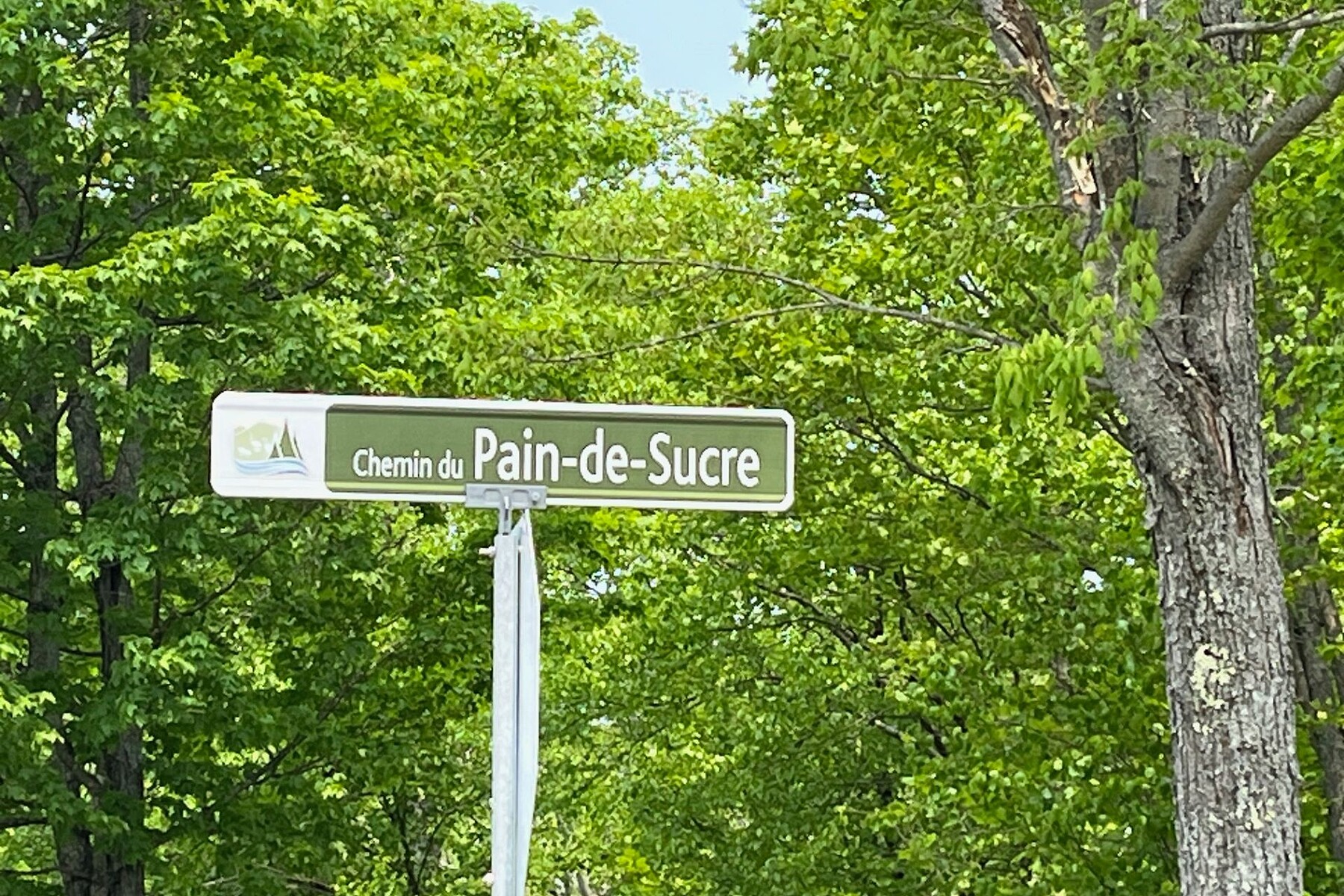  Mont-Tremblant, Laurentides - 物件實景