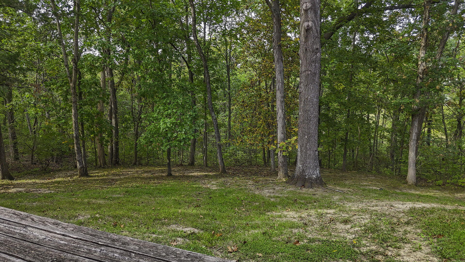 COLUMBIA, Missouri, 65203, United States, 5 Bedrooms Bedrooms, ,3 BathroomsBathrooms,Residential,For Sale,1975322