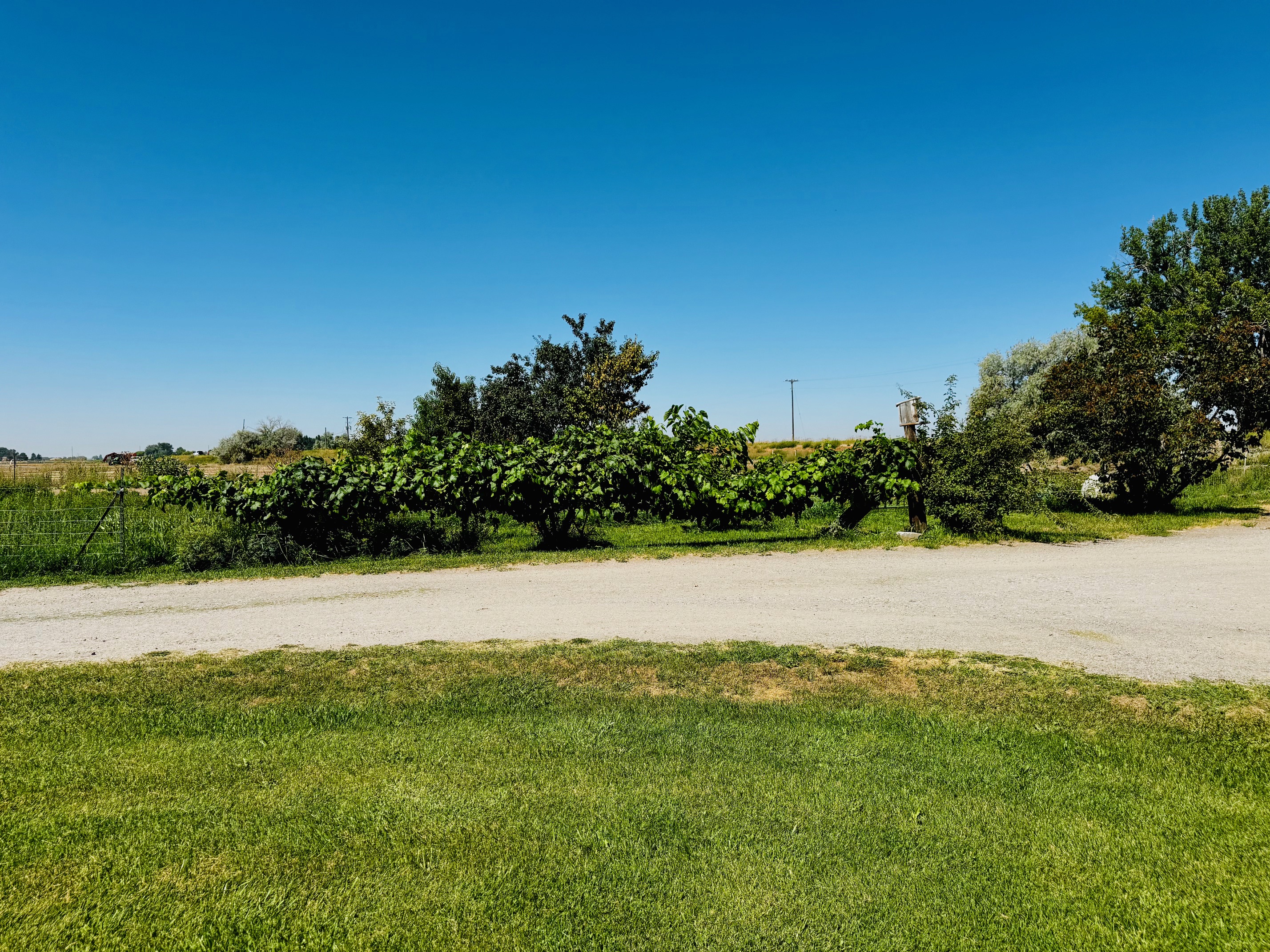 Rupert, Idaho, 83350, United States, 6 Bedrooms Bedrooms, ,2 BathroomsBathrooms,Residential,For Sale,1938225