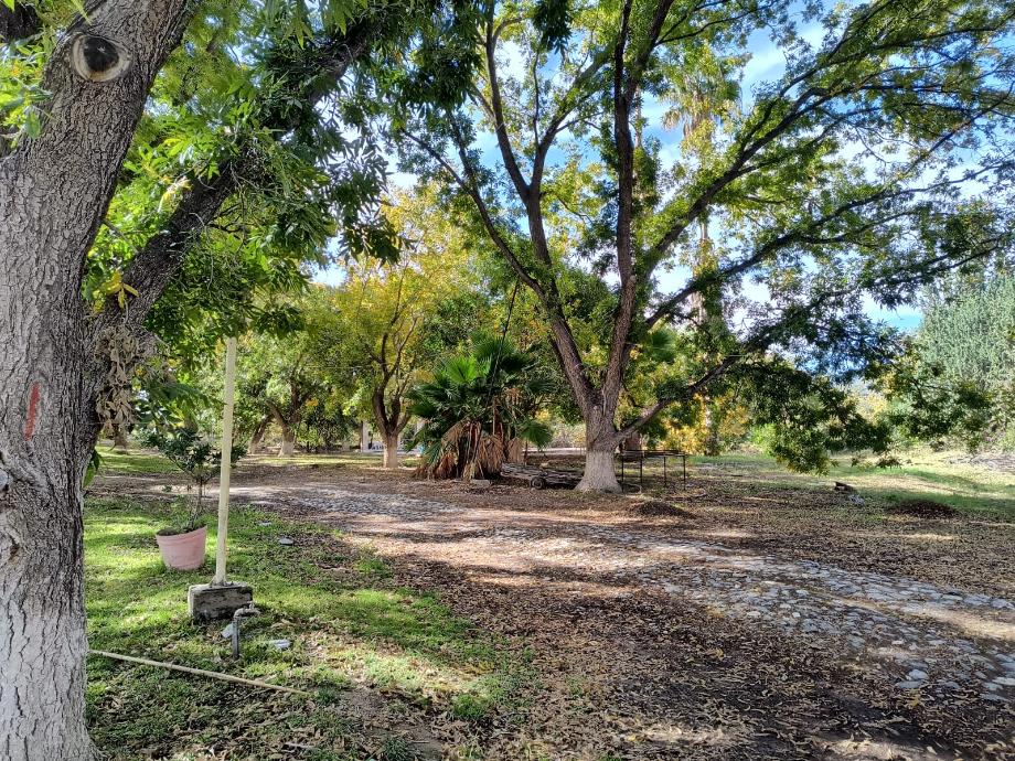 Parras, Coahuila de Zaragoza, 27987, Mexico, 1 Bedroom Bedrooms, ,Residential,For Sale,1762063