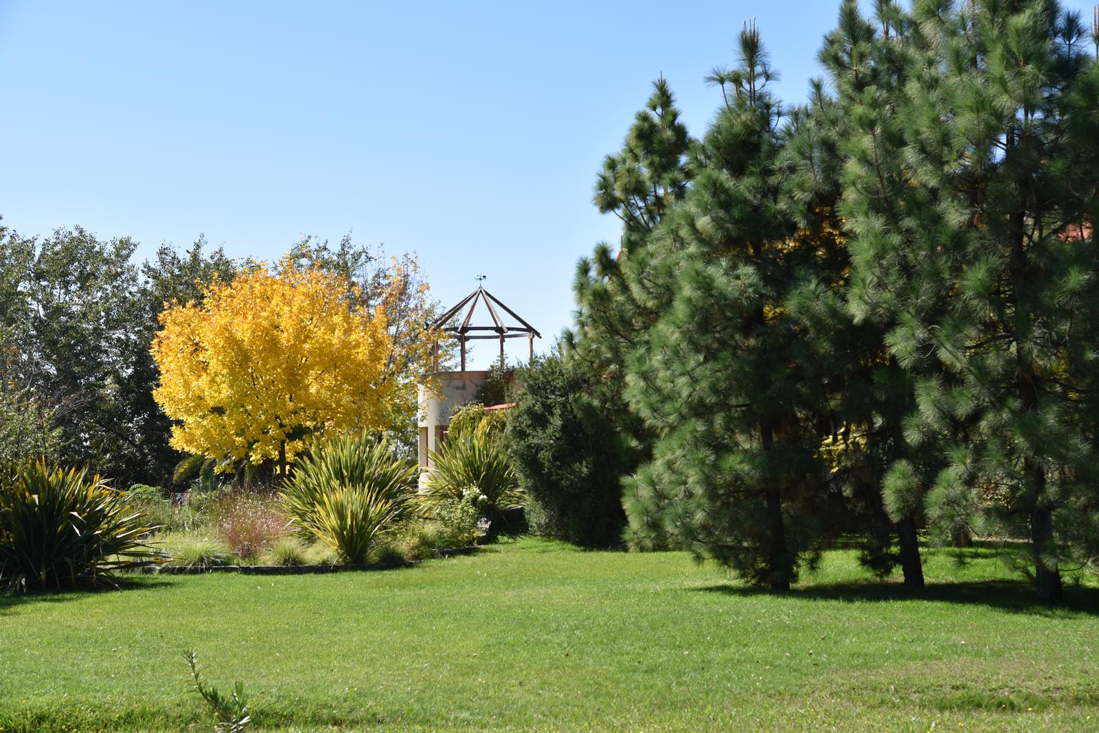 Lujan De Cuyo, AR-M, AR, 5 Bedrooms Bedrooms, ,8 BathroomsBathrooms,Residential,For Sale,1999071