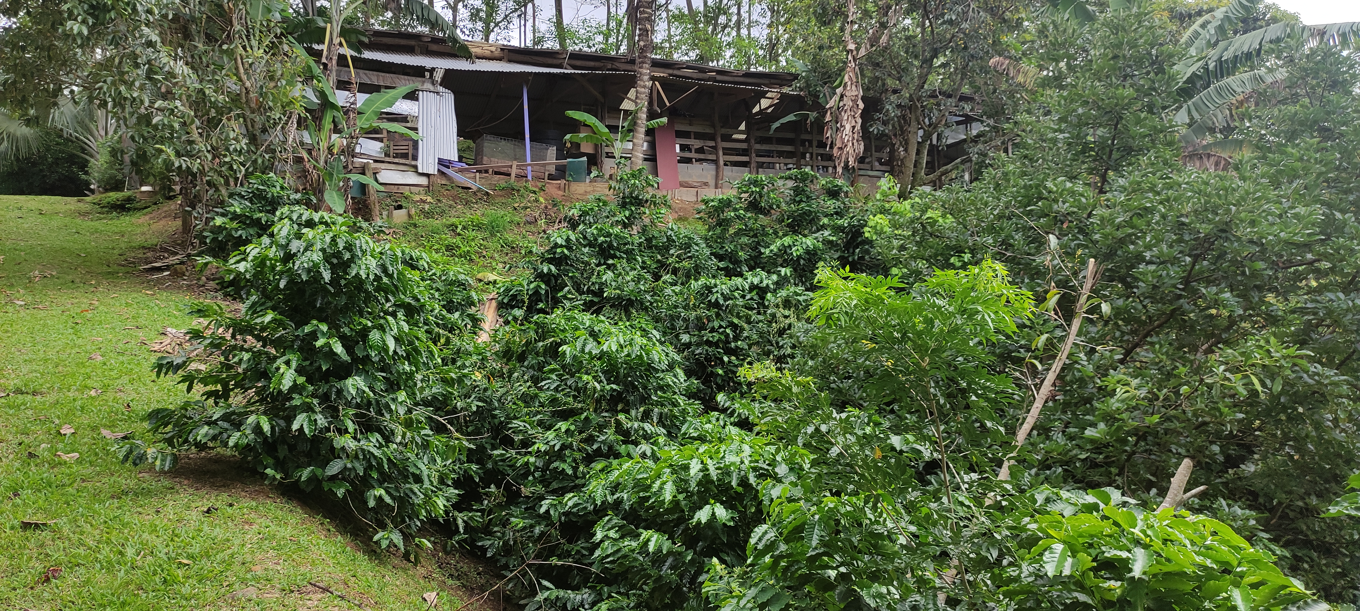 Puriscal, San Jose, CR, 6 Bedrooms Bedrooms, ,7 BathroomsBathrooms,Residential,For Sale,1612252