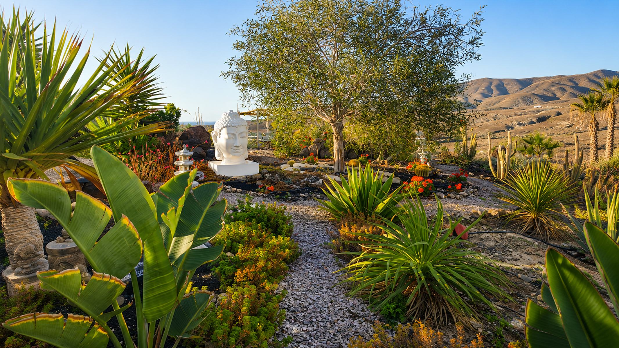  Retirement and Wellness Property in Tarajalejo, Fuerteventura - 物件實景