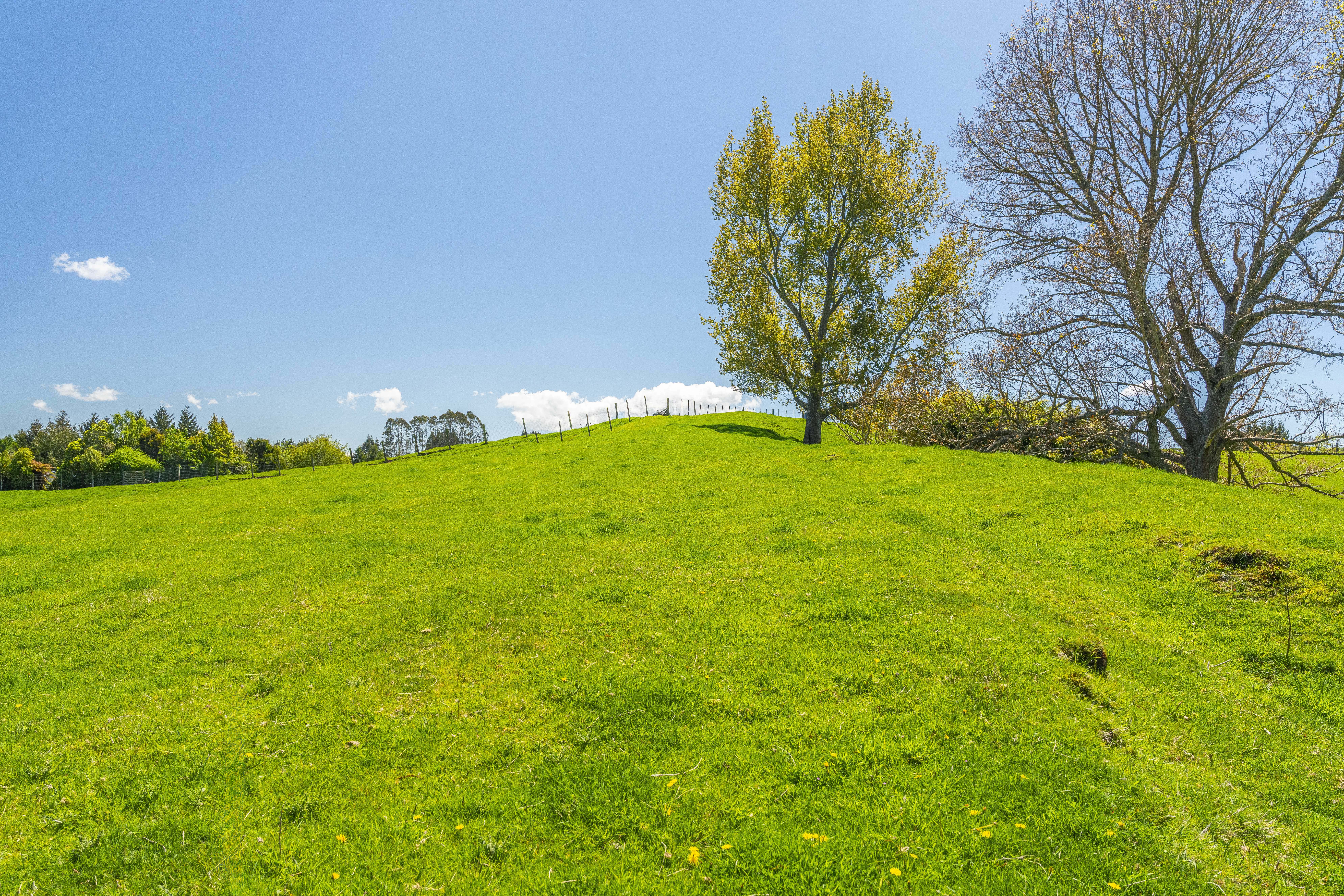  Land, Lifestyle and a Shed to Impress - 物件實景