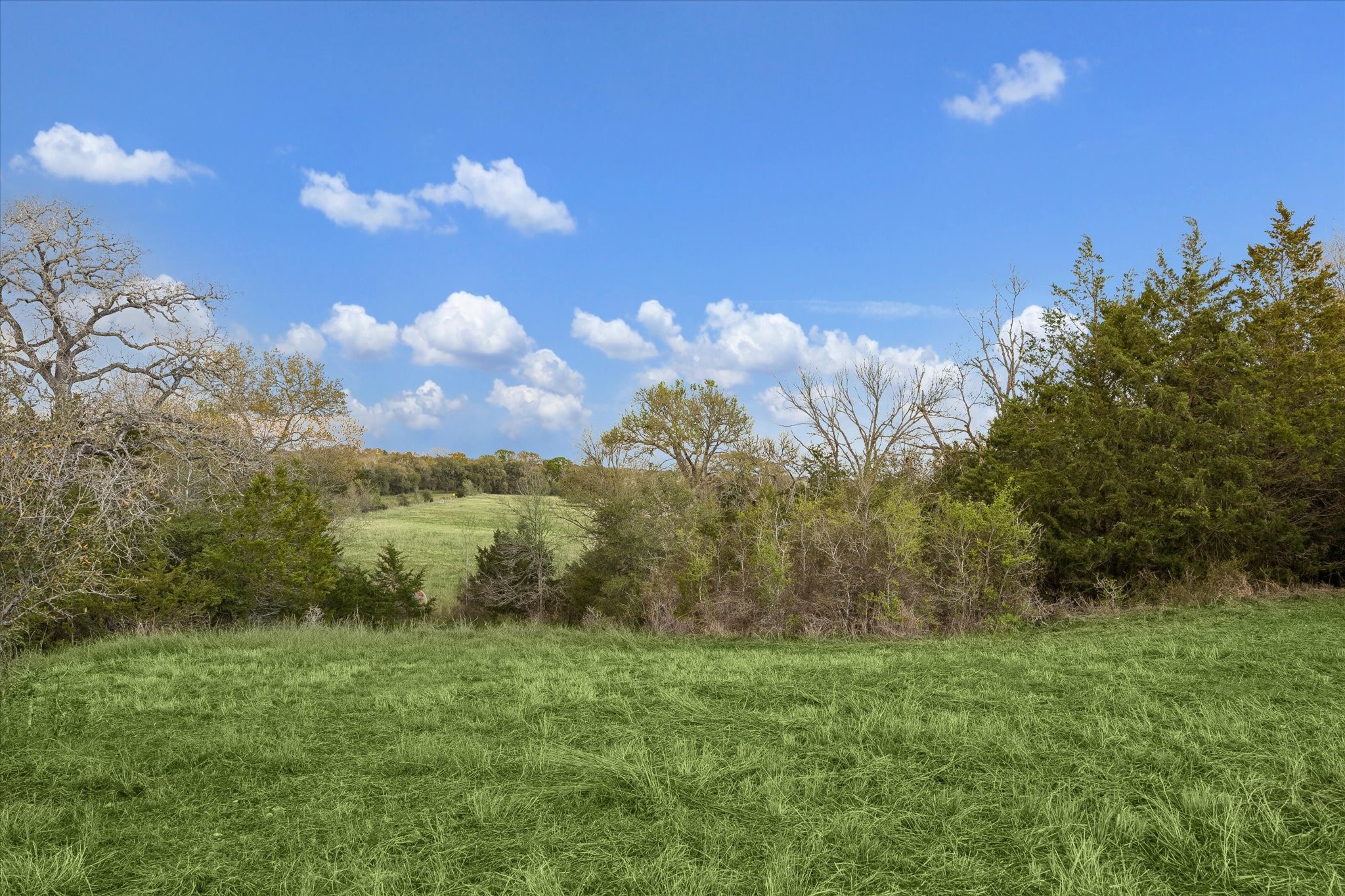  895 S Weyand Road - 物件實景