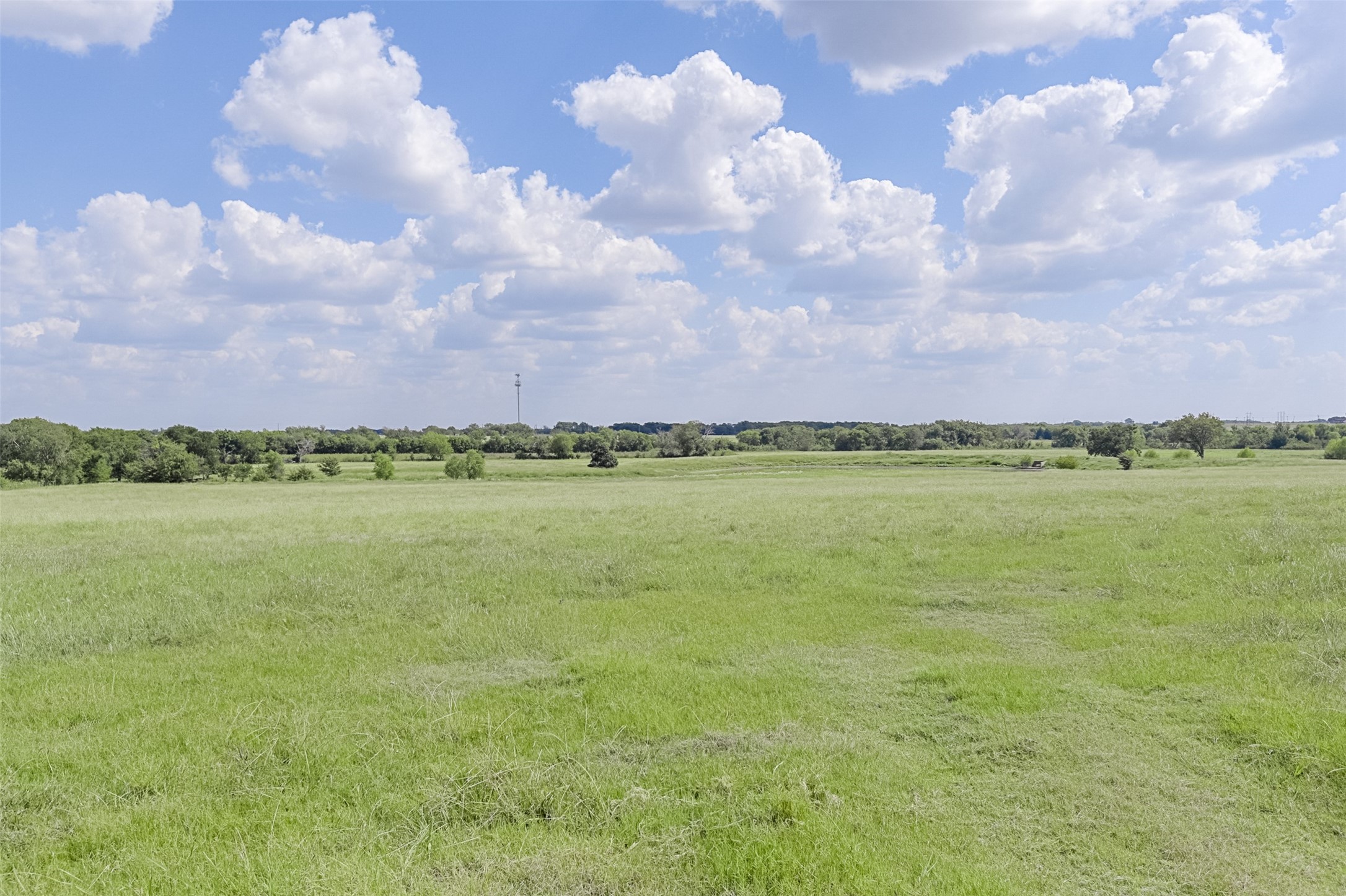 Waxahachie, Texas, 75167, United States, ,Land,For Sale,1997340