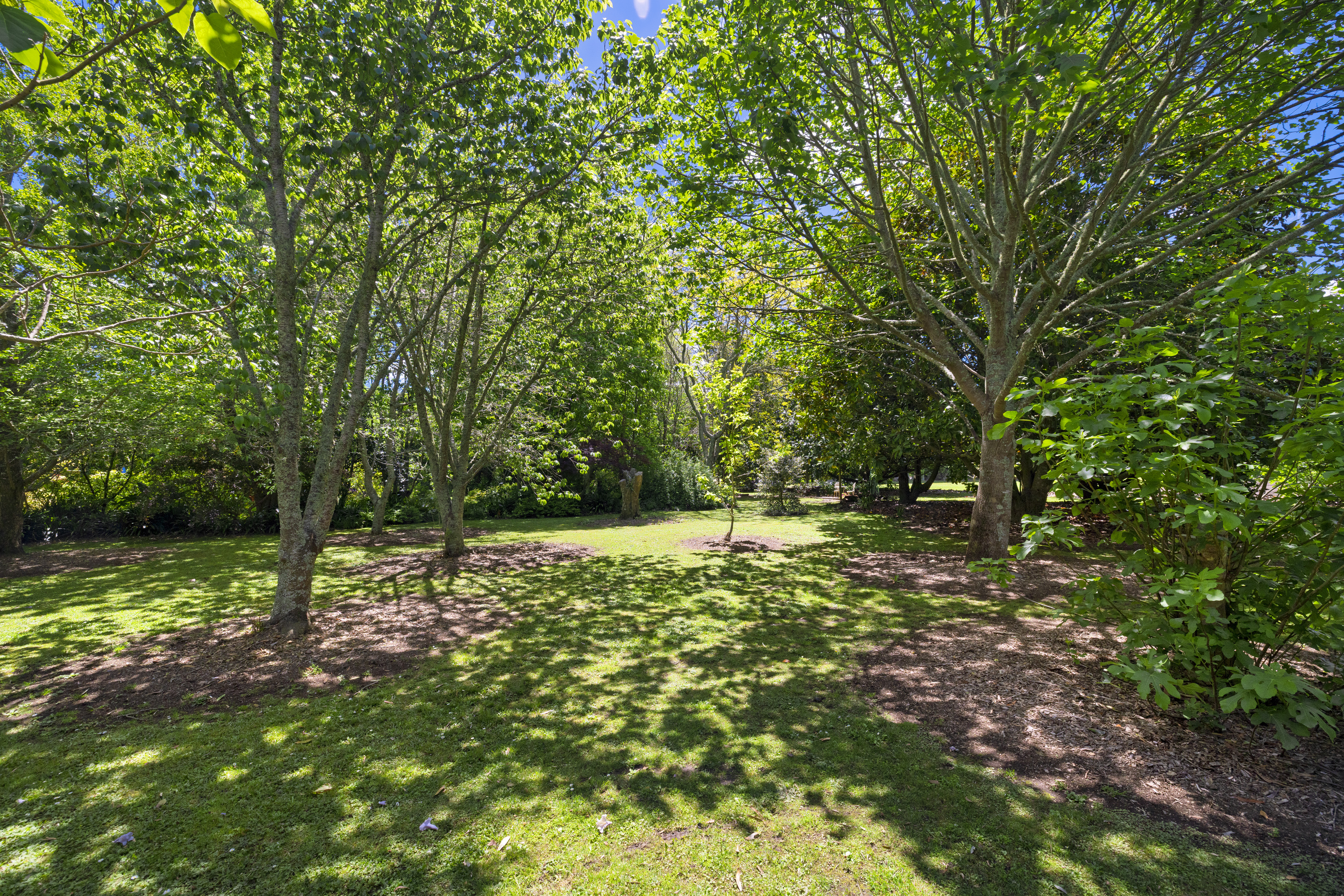  18 Lathrope Road, Riverhead - 物件實景