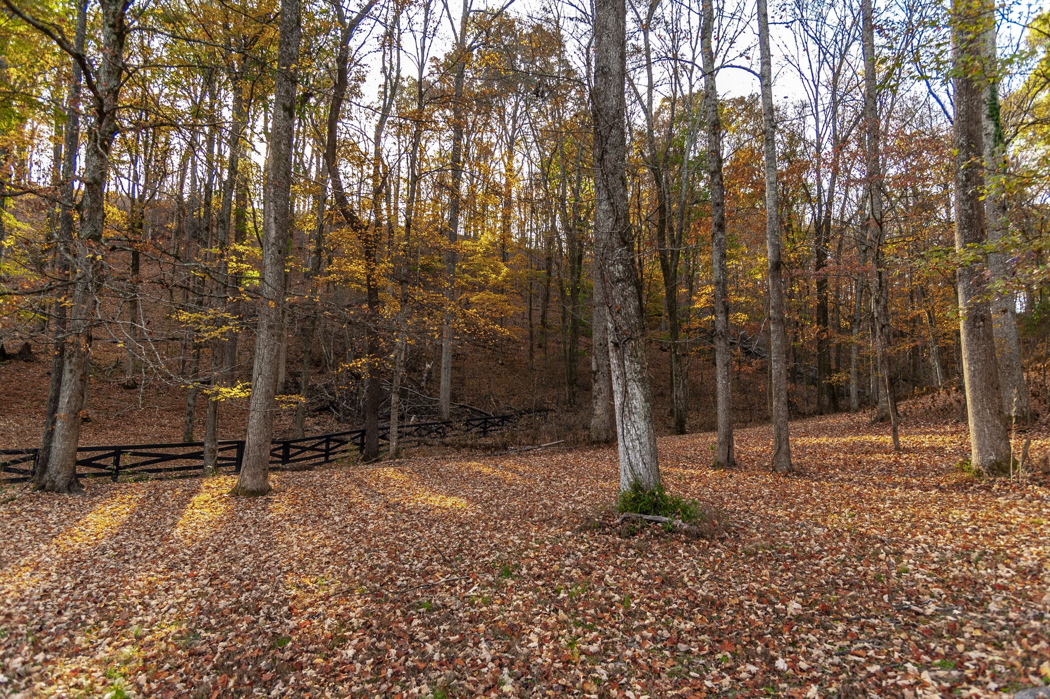 Goodlettsville, Tennessee, 37072, United States, 4 Bedrooms Bedrooms, ,6 BathroomsBathrooms,Residential,For Sale,1996833