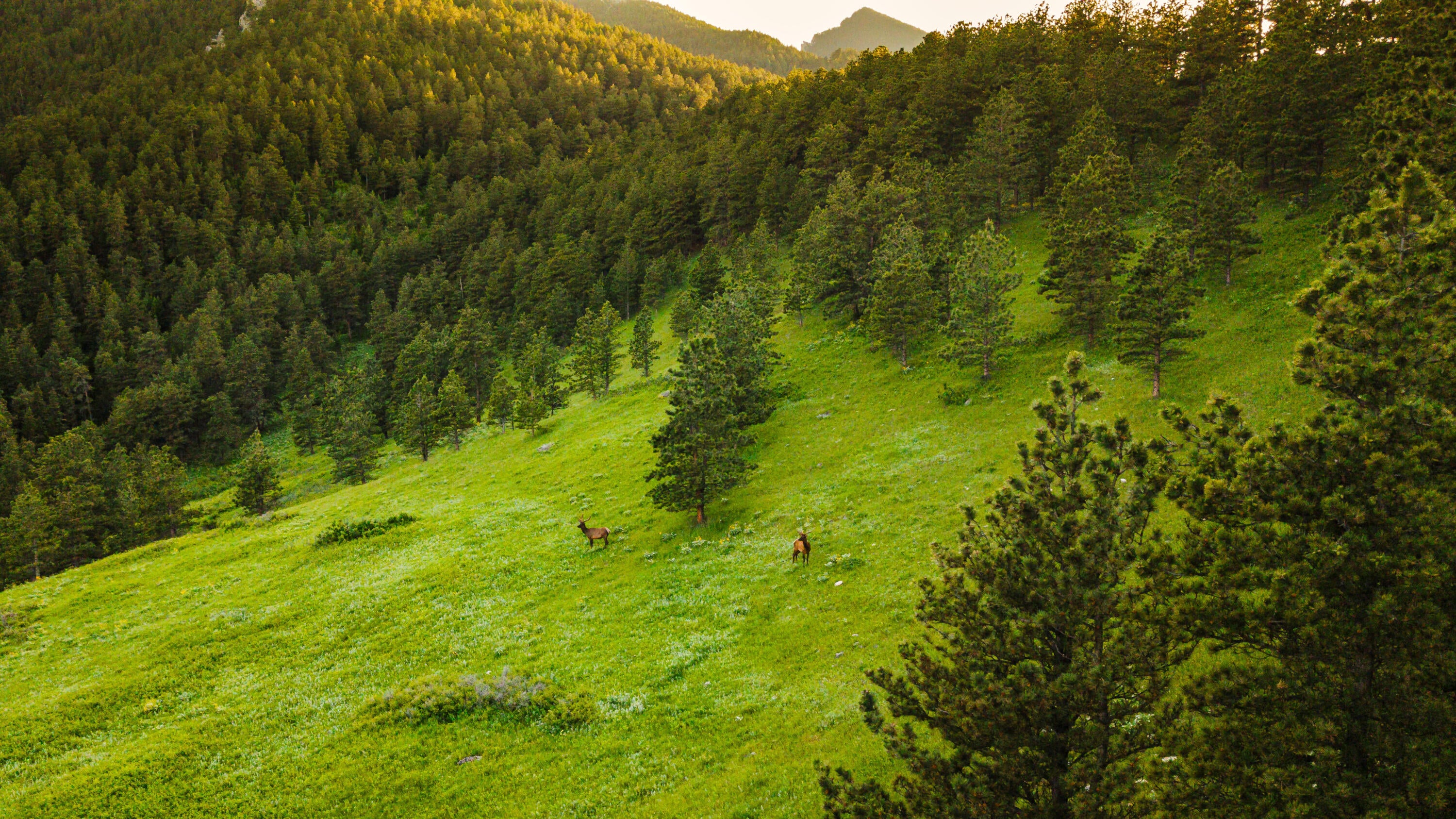 Big Horn, Wyoming, 82833, United States, ,Residential,For Sale,2011314