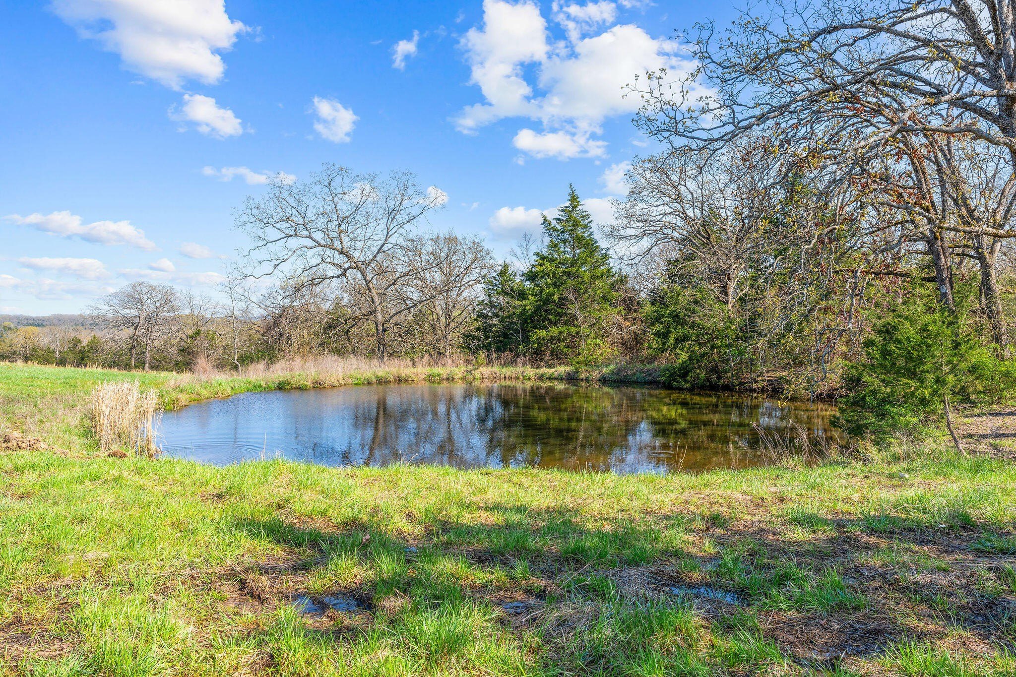 Kirbyville, Missouri, 65679, United States, ,Land,For Sale,1978892