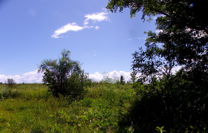 Cabarete, DO, ,Land,For Sale,1627535