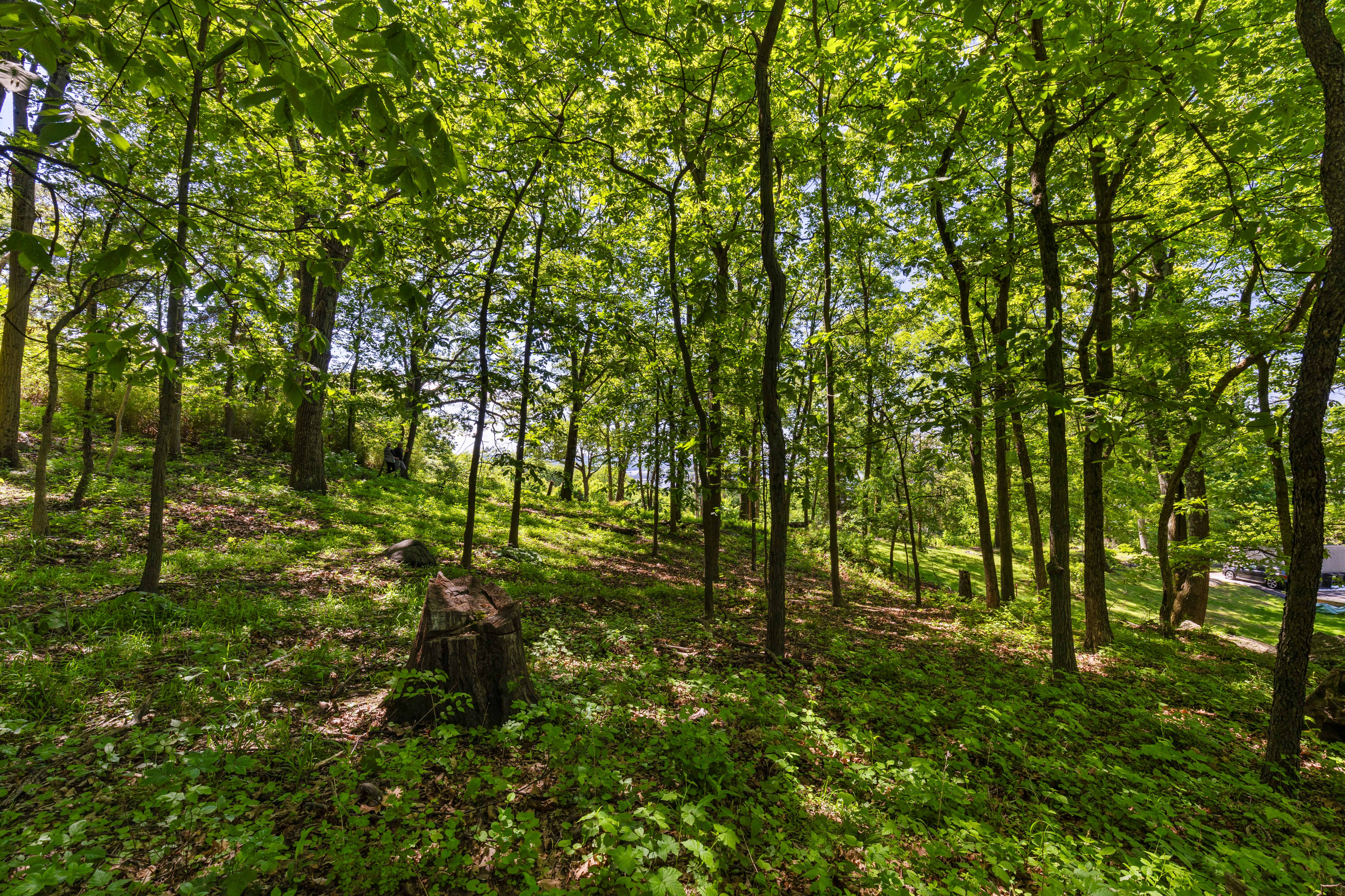  8 Prickly Pear Hill Road - 物件實景