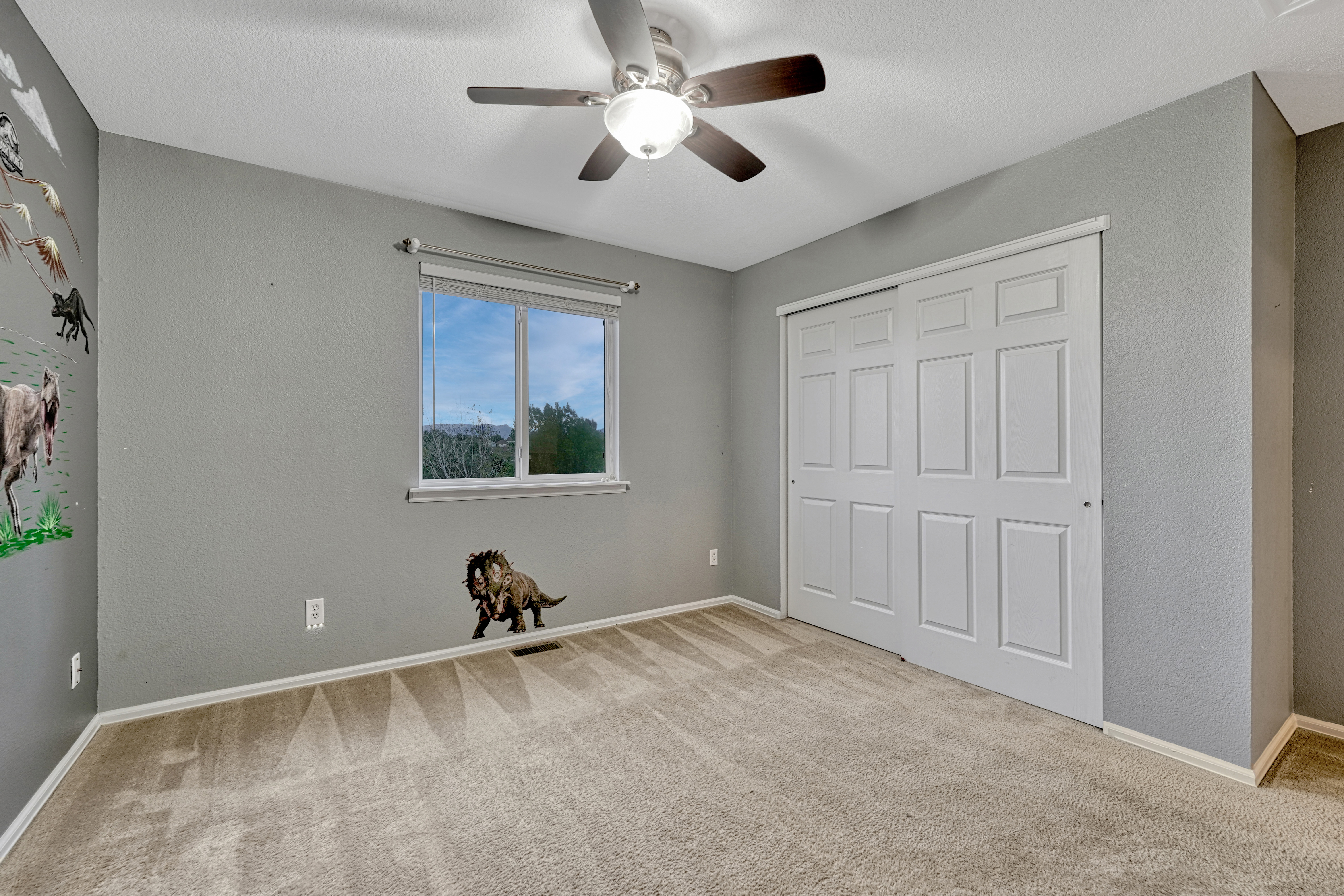  5126 Stone Fence Drive, Colorado Springs, CO, 80922 - 物件實景