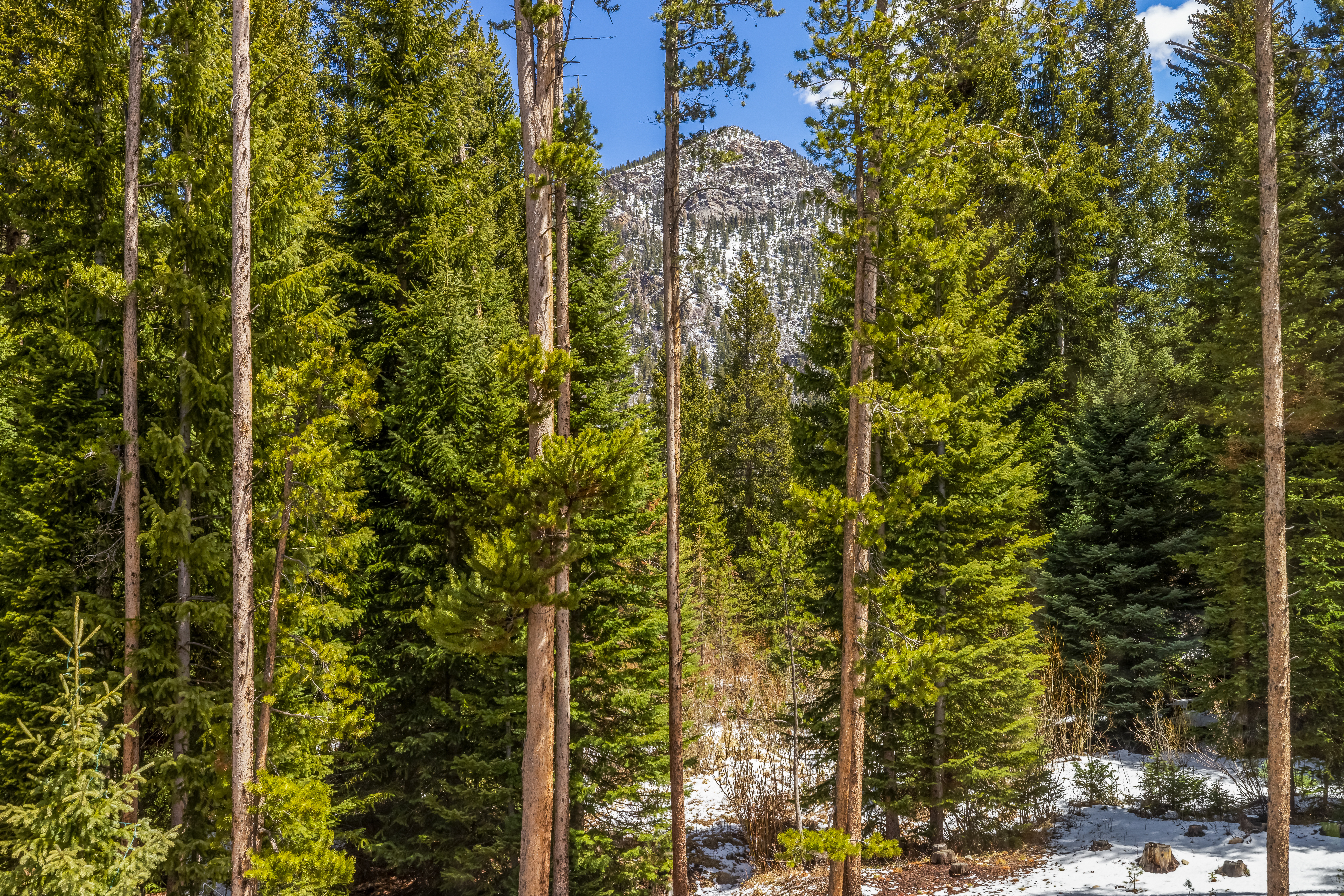  99 Independence Road, Keystone, CO, 80435 - 物件實景