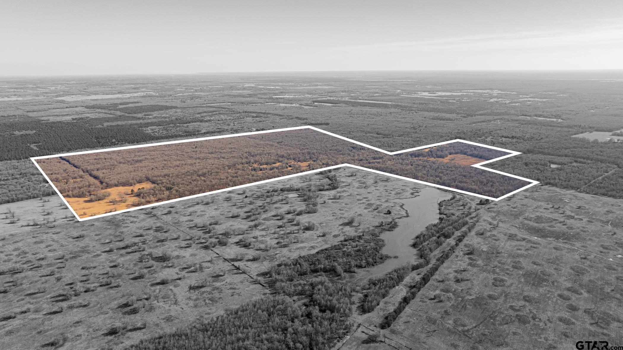 Dekalb, Texas, 75559, United States, ,Land,For Sale,1983481