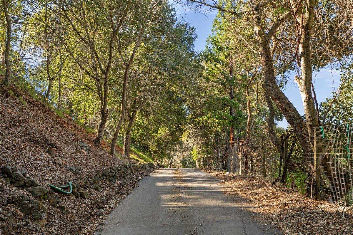 Los Altos Hills, California, 94022, United States, 5 Bedrooms Bedrooms, ,5 BathroomsBathrooms,Residential,For Sale,1907317