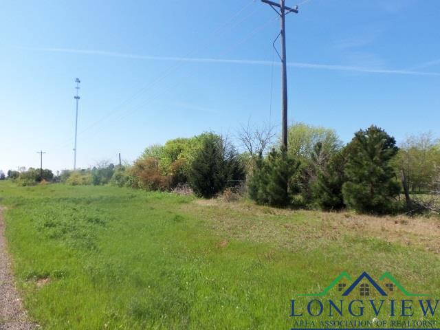 TBD U.S. HWY. 259 N., Kilgore, Texas, 75662, United States, ,Land,For Sale,TBD U.S. HWY. 259 N.,1542568