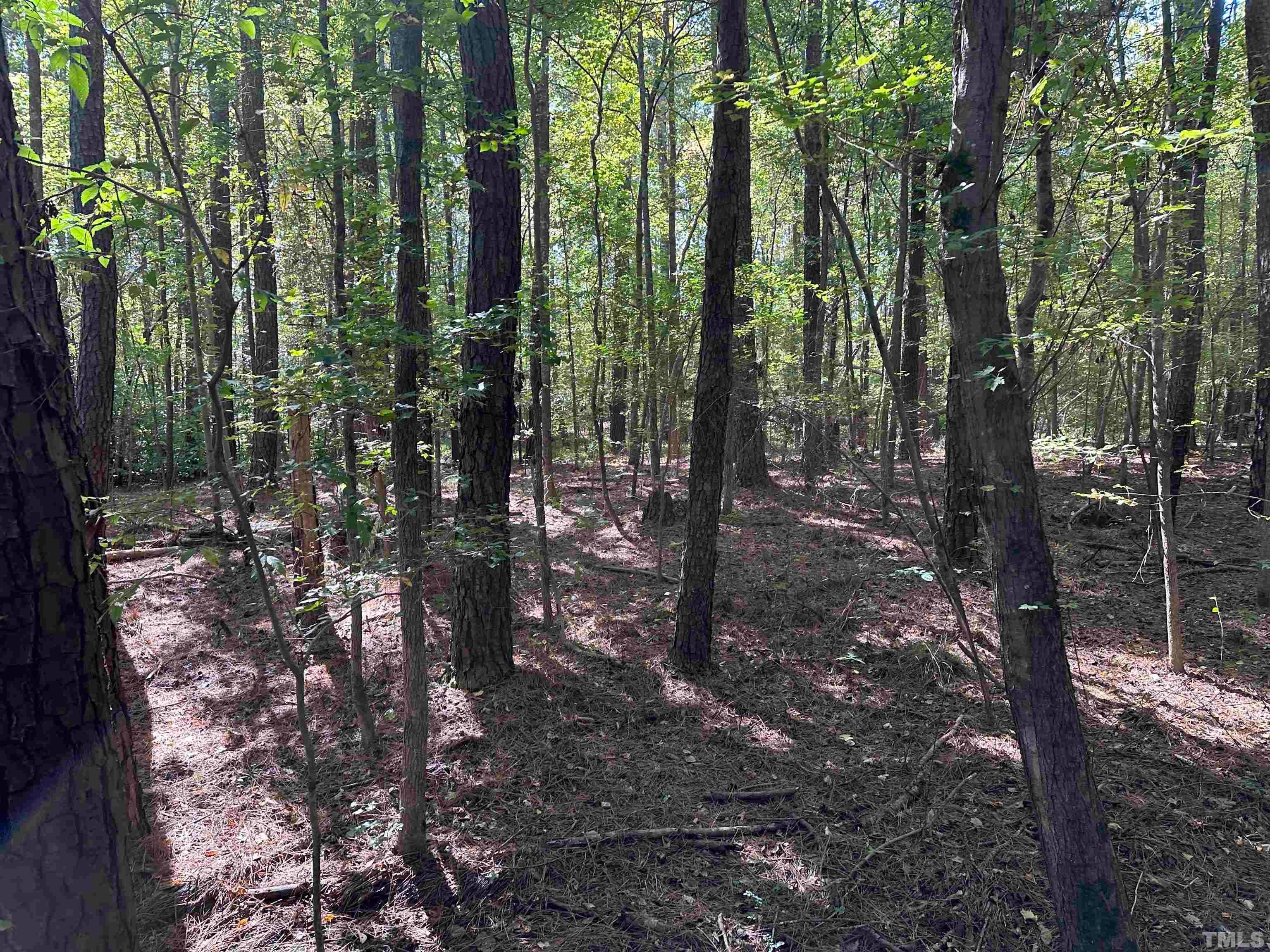 8017 Farrington Mill Road, Chapel Hill, North Carolina, 27517, United States, ,Land,For Sale,8017 Farrington Mill Road,1623508