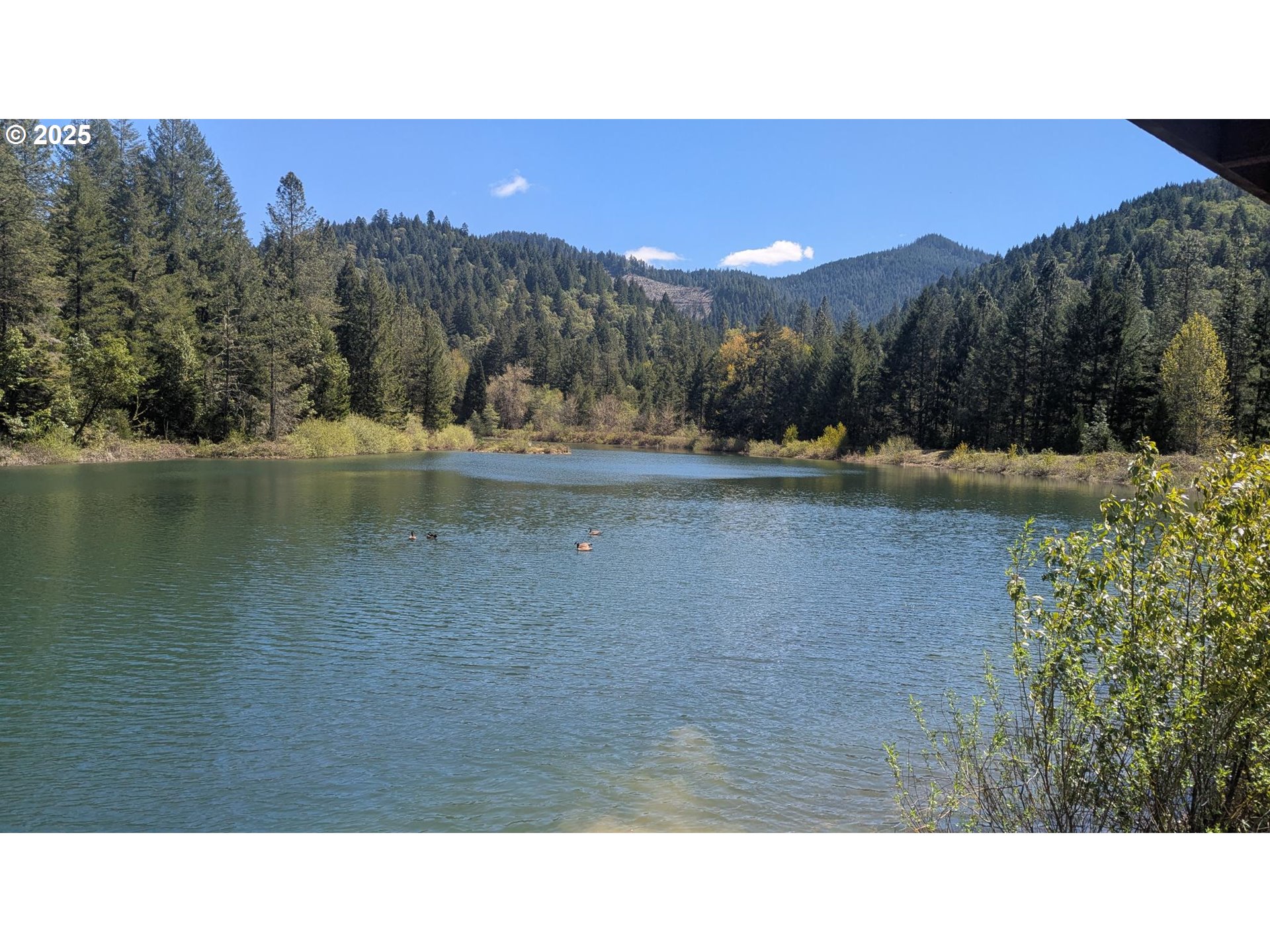 2999 Speaker Rd, Wolf Creek, Oregon, 97497, United States, 4 Bedrooms Bedrooms, ,4 BathroomsBathrooms,Residential,For Sale,2999 Speaker Rd,1659471