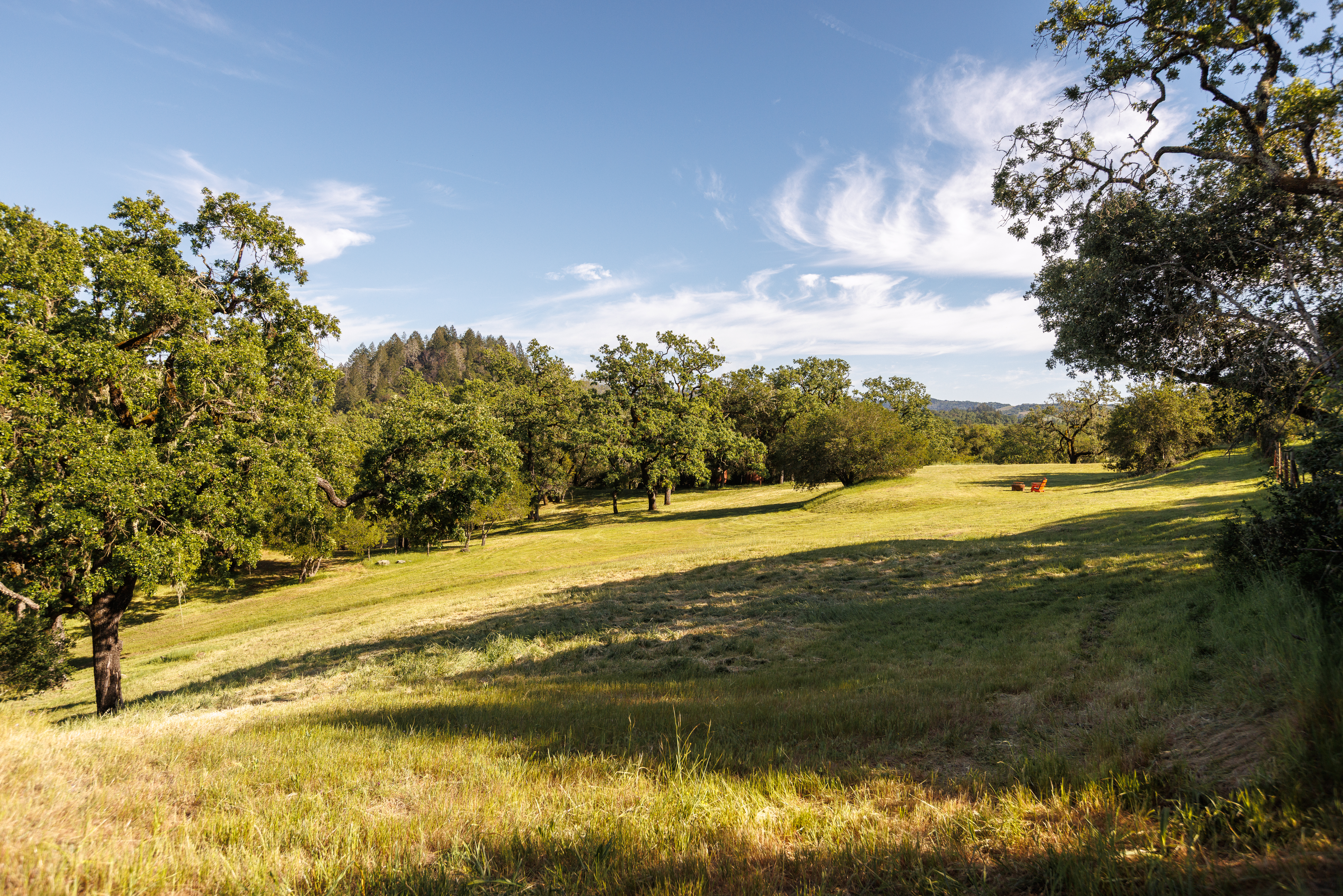  6225 West Soda Rock Lane, Healdsburg, CA 95448 - 物件實景
