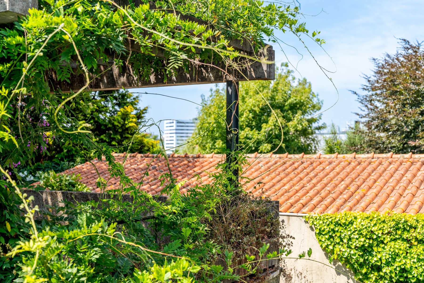  Detached house, 5 bedrooms, for Sale - 物件實景