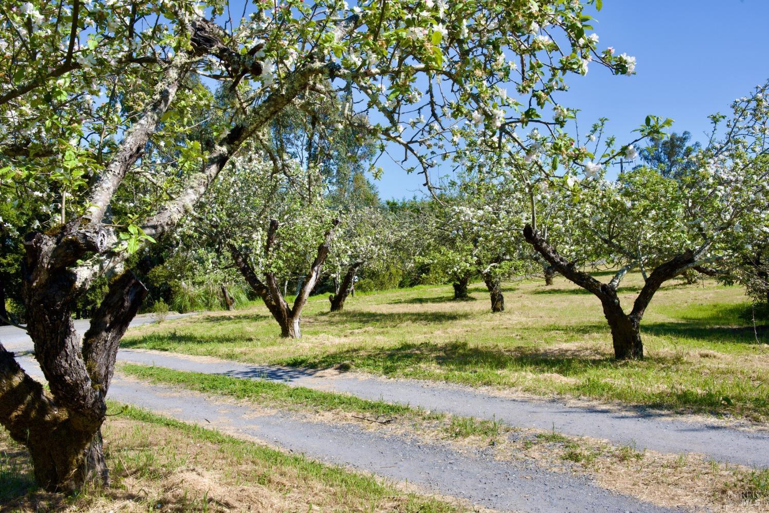 Forestville, California, 95436, United States, 4 Bedrooms Bedrooms, ,3 BathroomsBathrooms,Residential,For Sale,1796757