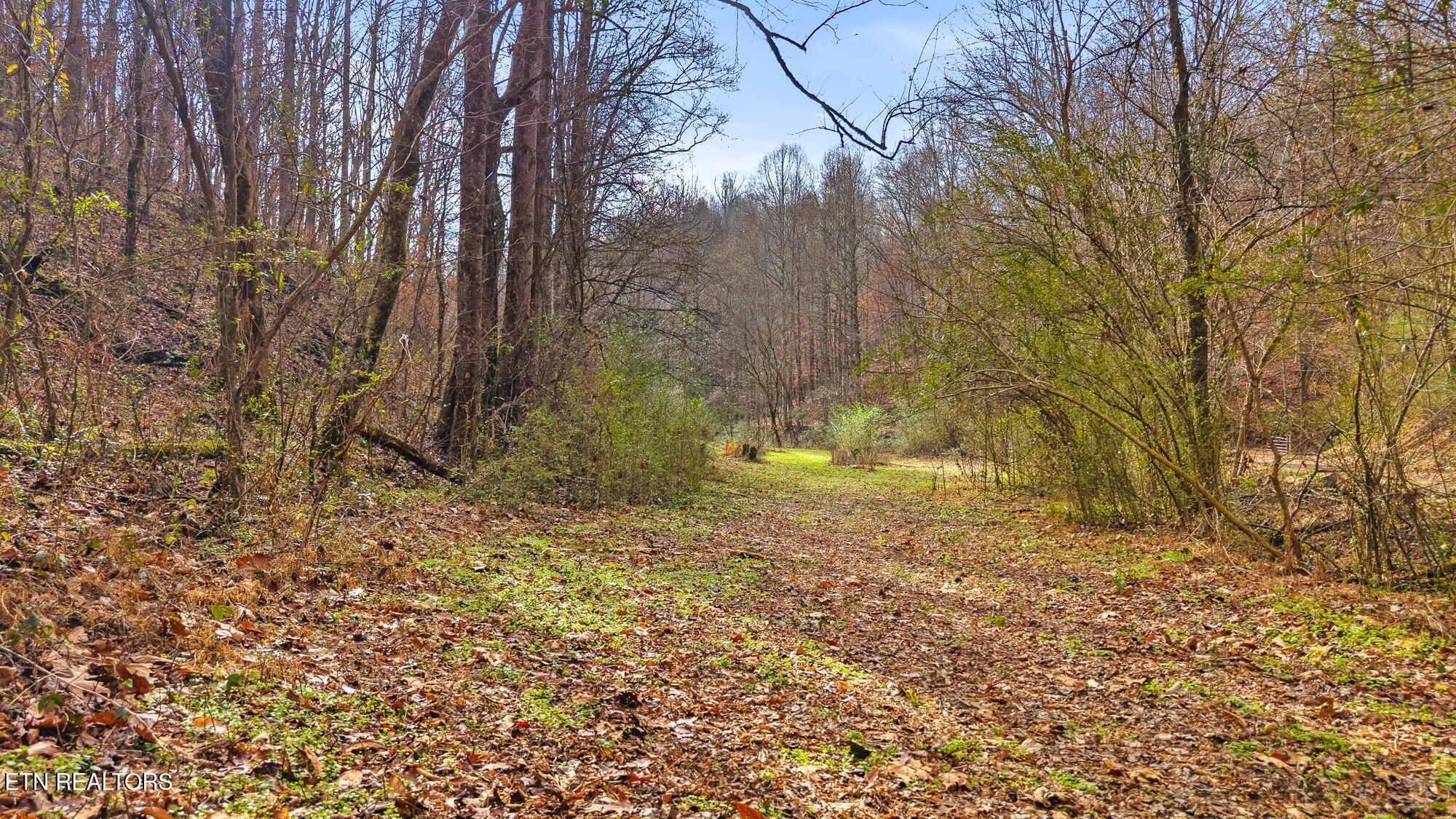 Englewood, Tennessee, 37329, United States, 2 Bedrooms Bedrooms, ,3 BathroomsBathrooms,Residential,For Sale,2002441