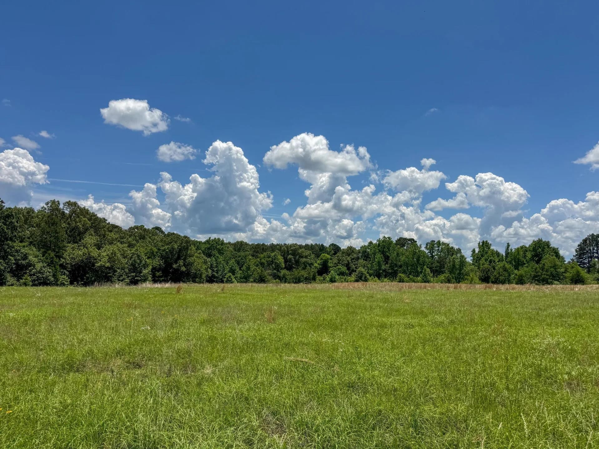 Douglassville, Texas, 75560, United States, ,Land,For Sale,2048006